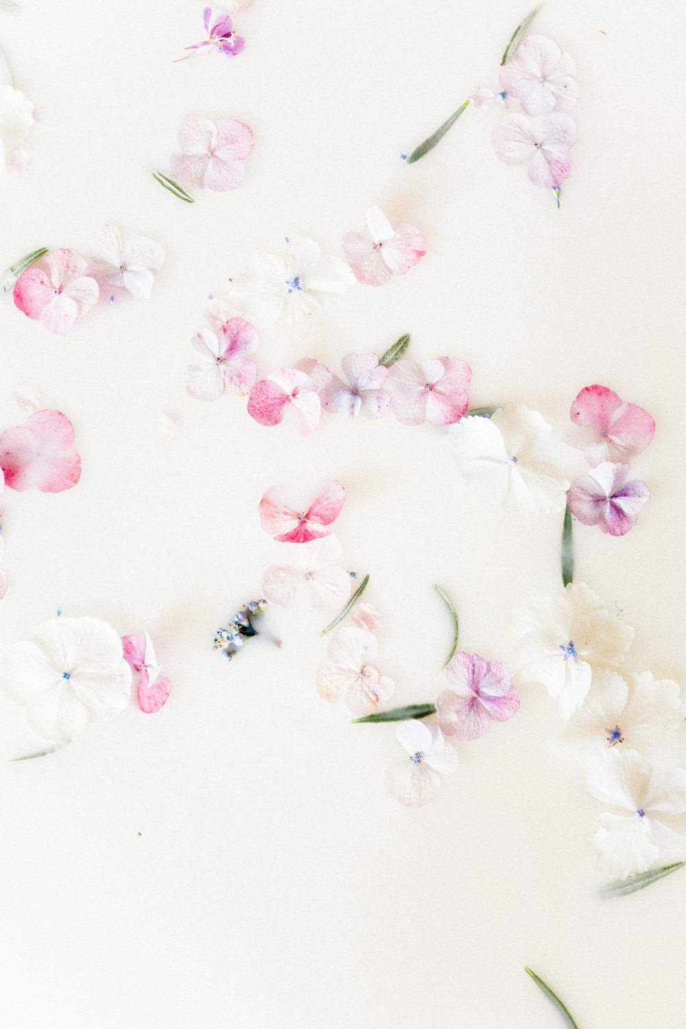 pink and white flowers floating in a pool of water