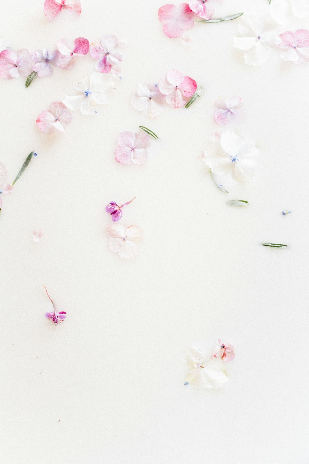 pink and white flowers scattered on a white surface