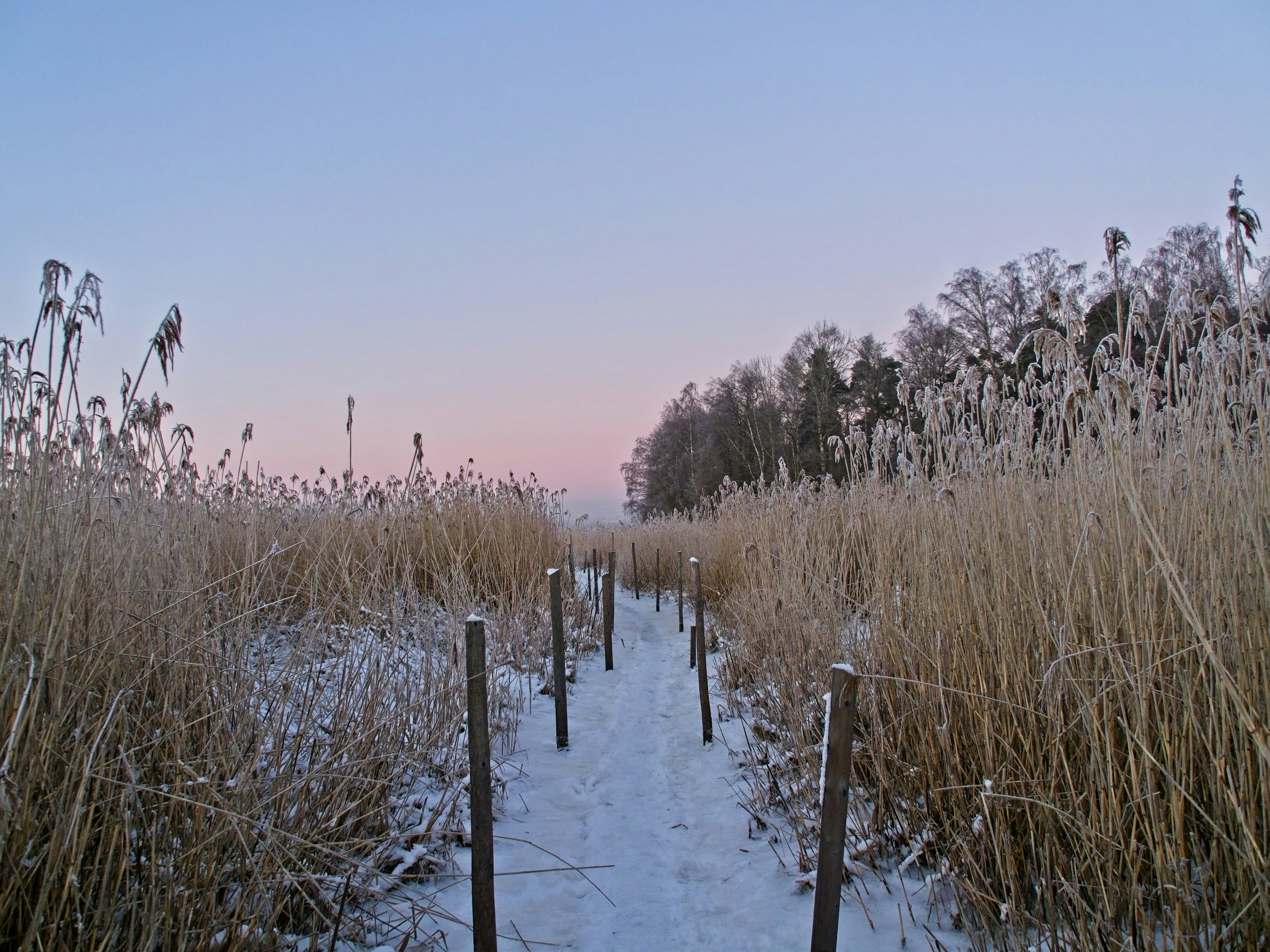 a path in the middle of a snow covered field