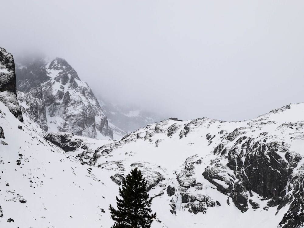 uma montanha coberta de neve com árvores em primeiro plano