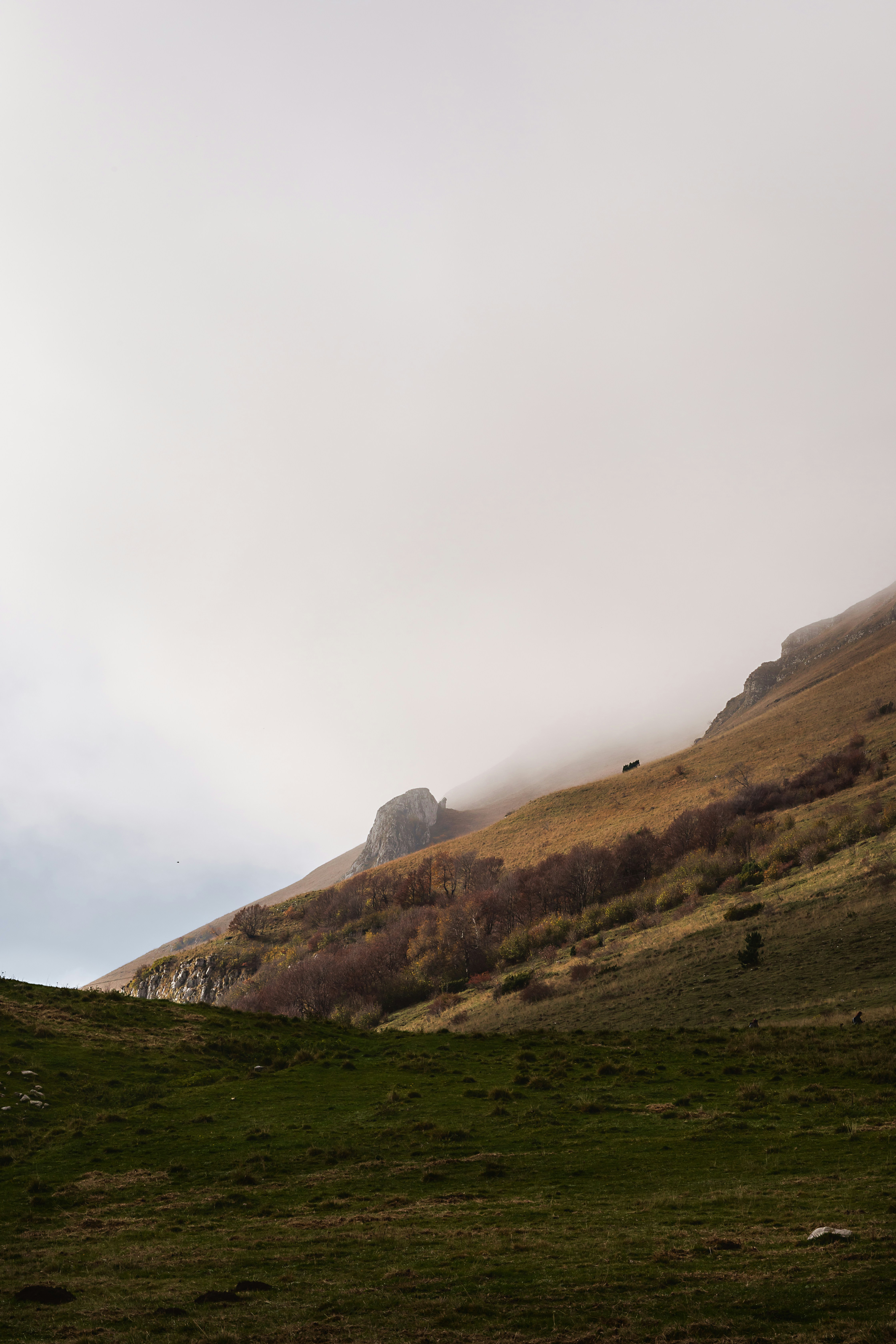 丘を背景にした草原