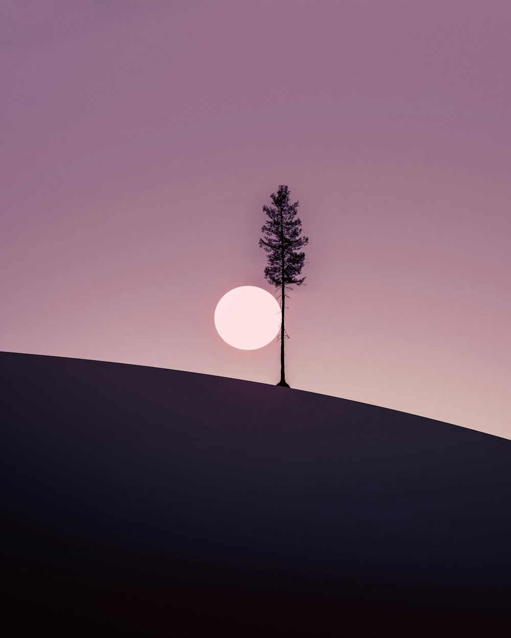 a lone tree on top of a hill