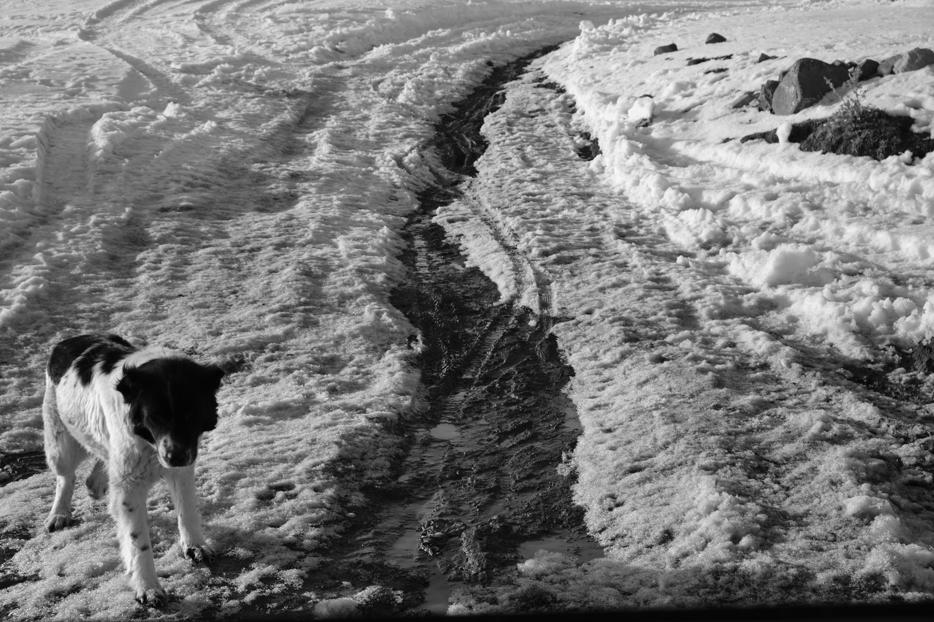 woman wearing yellow long-sleeved dress under white clouds and blue sky during daytime