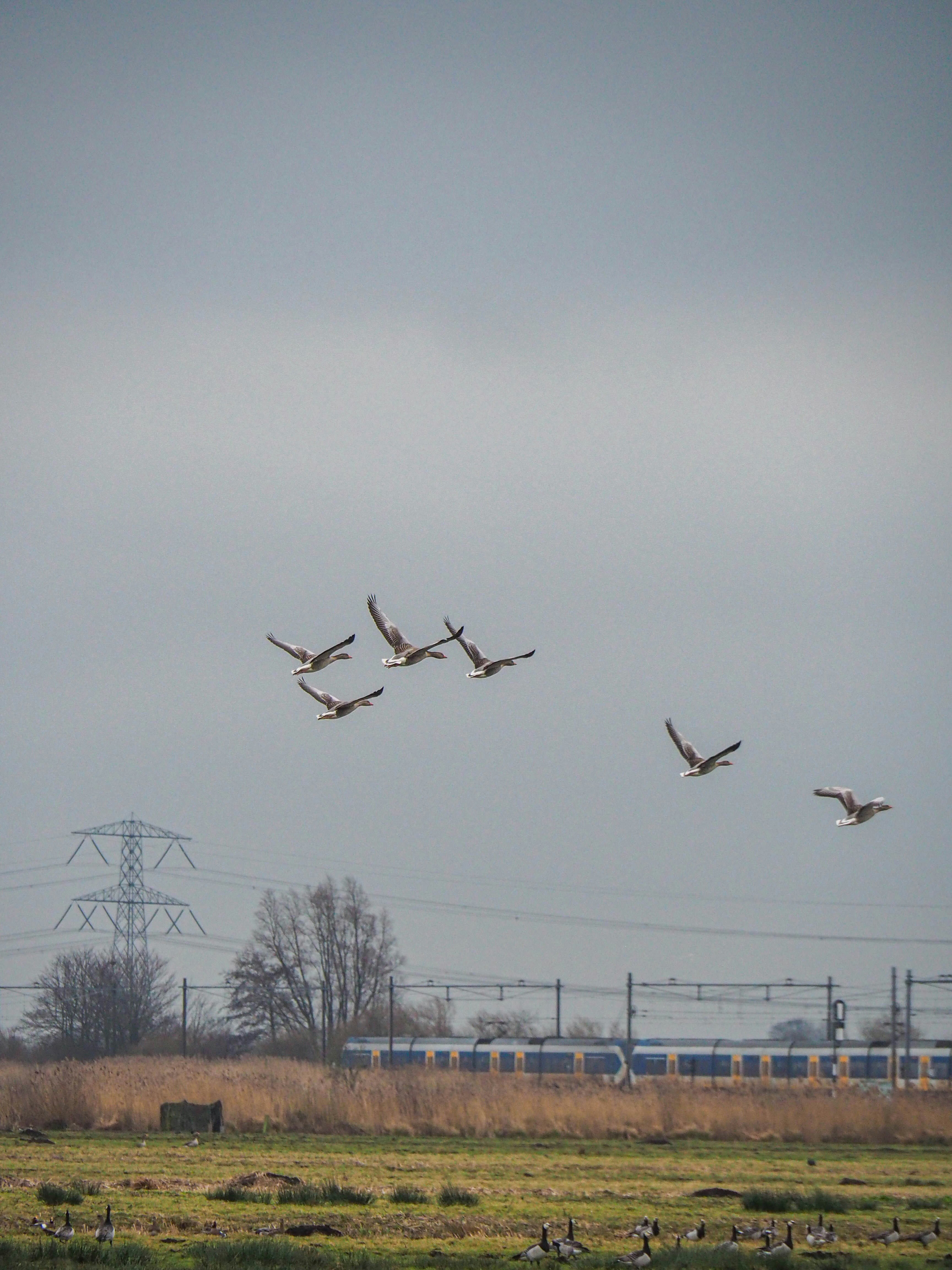 Photo by marijnvdmarel