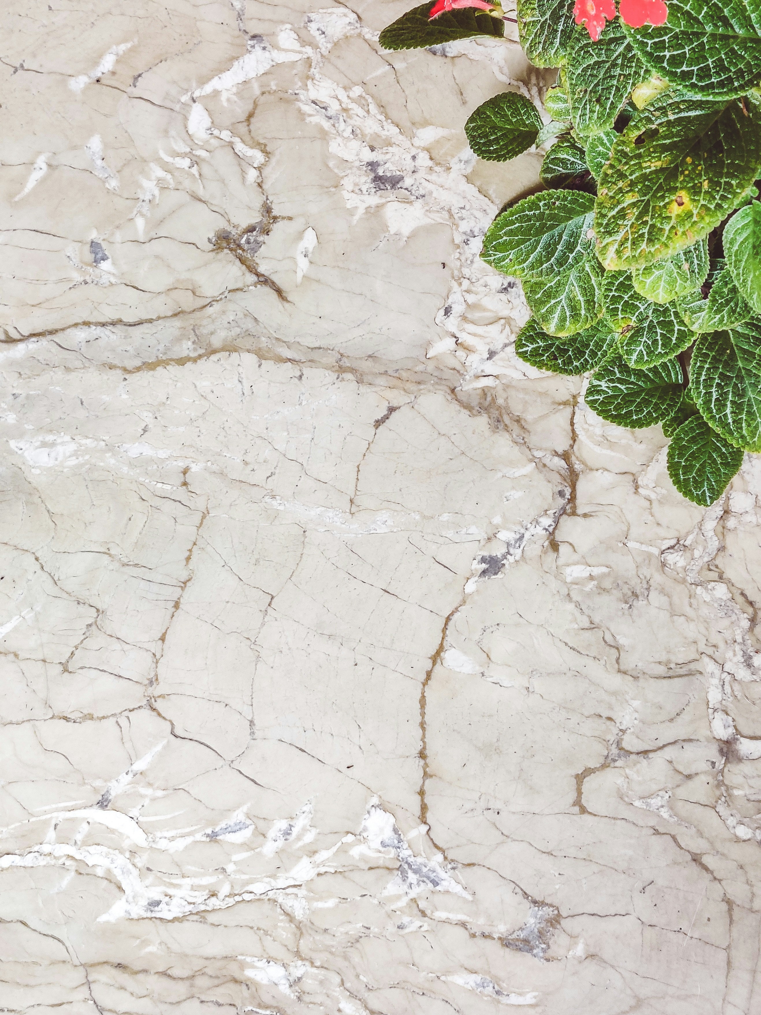 marble wallpaper texture, wallpaper, Marble Small Apartment DIY Makeover 6