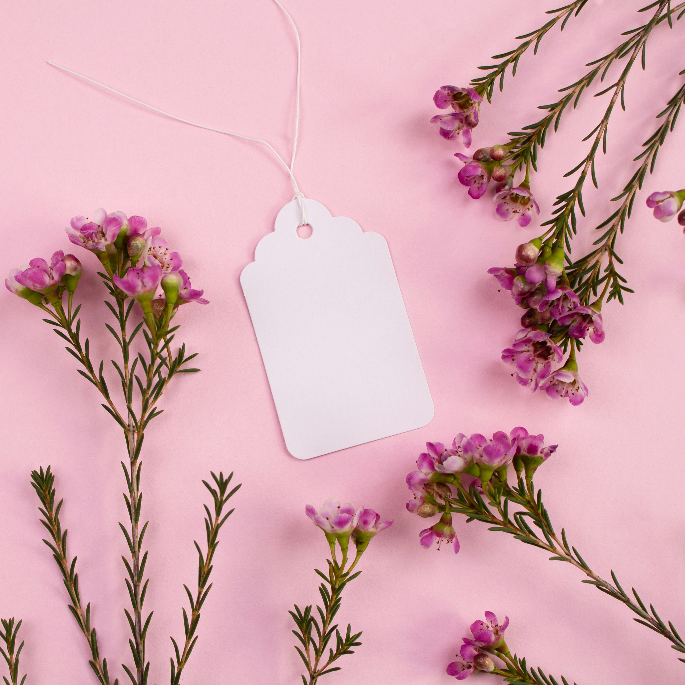 pastel sale background, wallpaper, Smart Shopping: Tips for Seasonal Sales 2