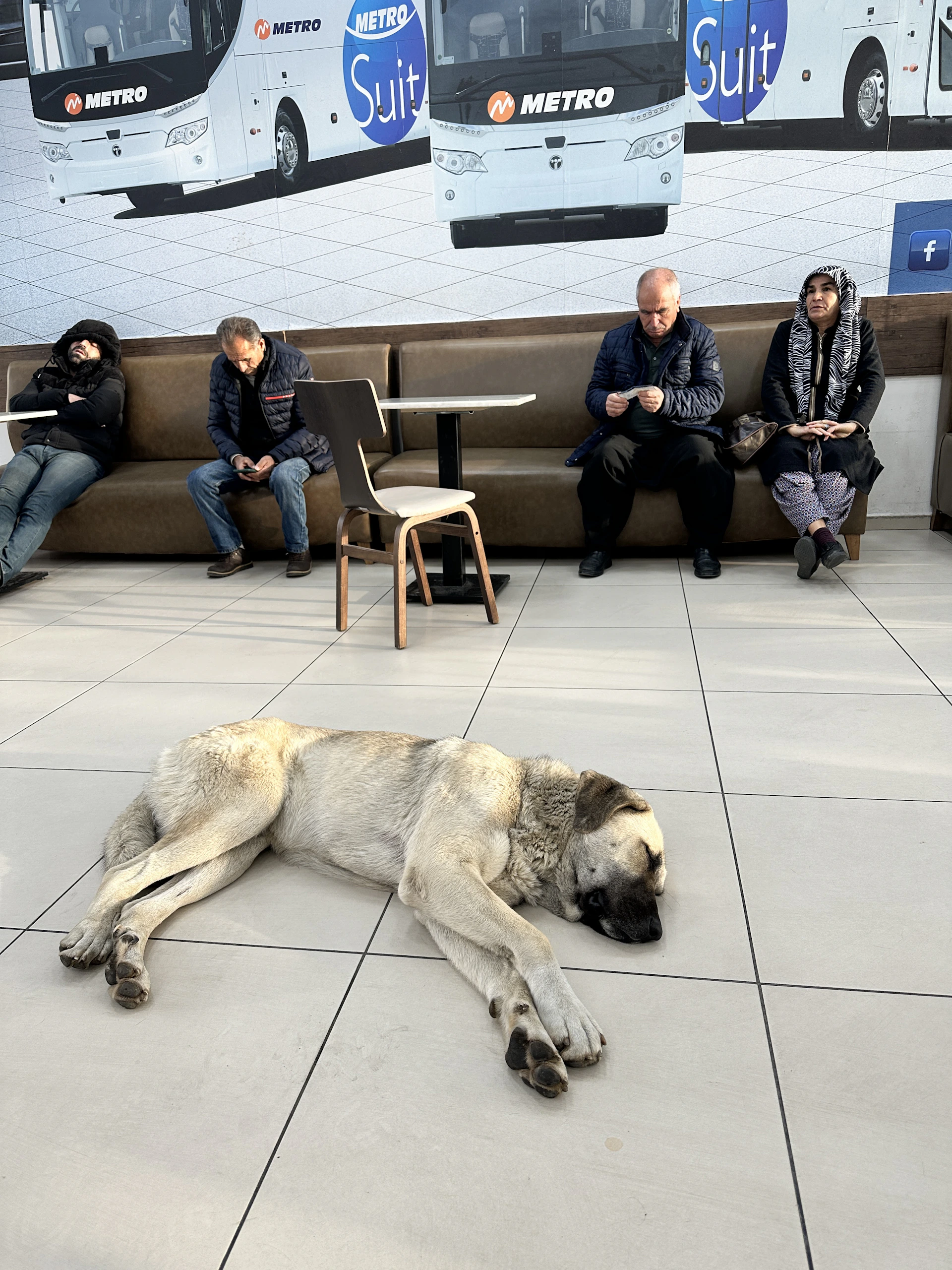woman wearing yellow long-sleeved dress under white clouds and blue sky during daytime