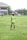 A person stands on a grassy soccer field wearing a neon green sports jersey with the number 3 and 'Almer FC' written on the back. In the background, there are other players, a large building, trees, and some urban structures.