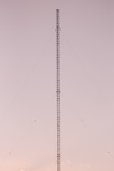 a very tall tower sitting in the middle of a field