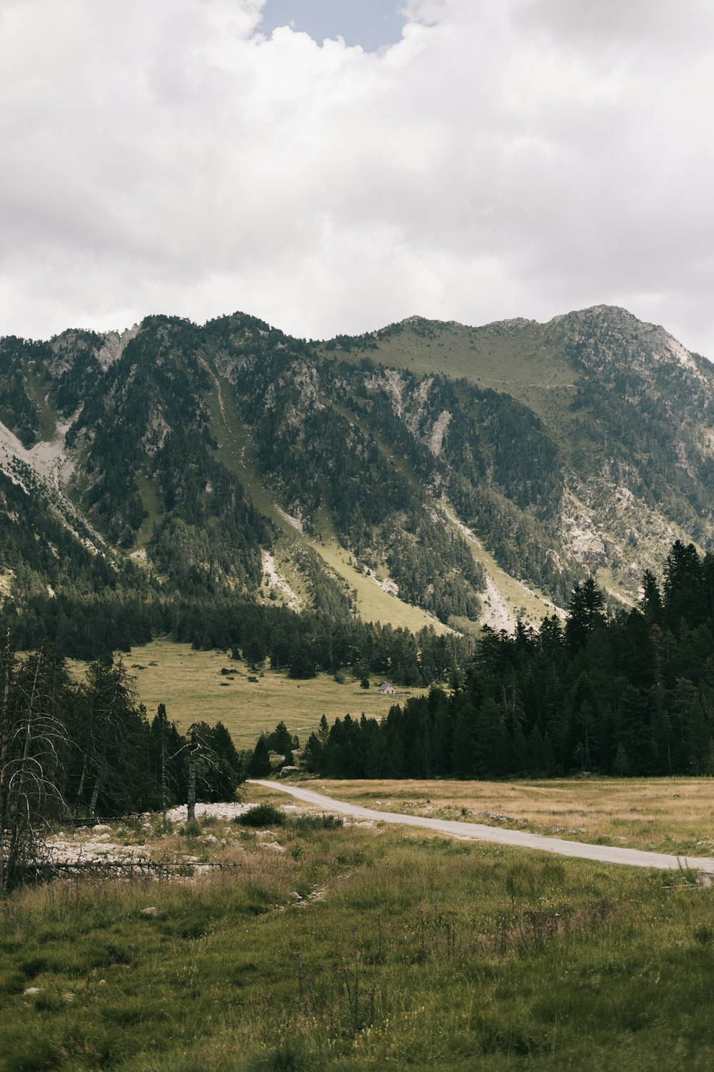 a scenic view of a mountain range with a winding road in the foreground