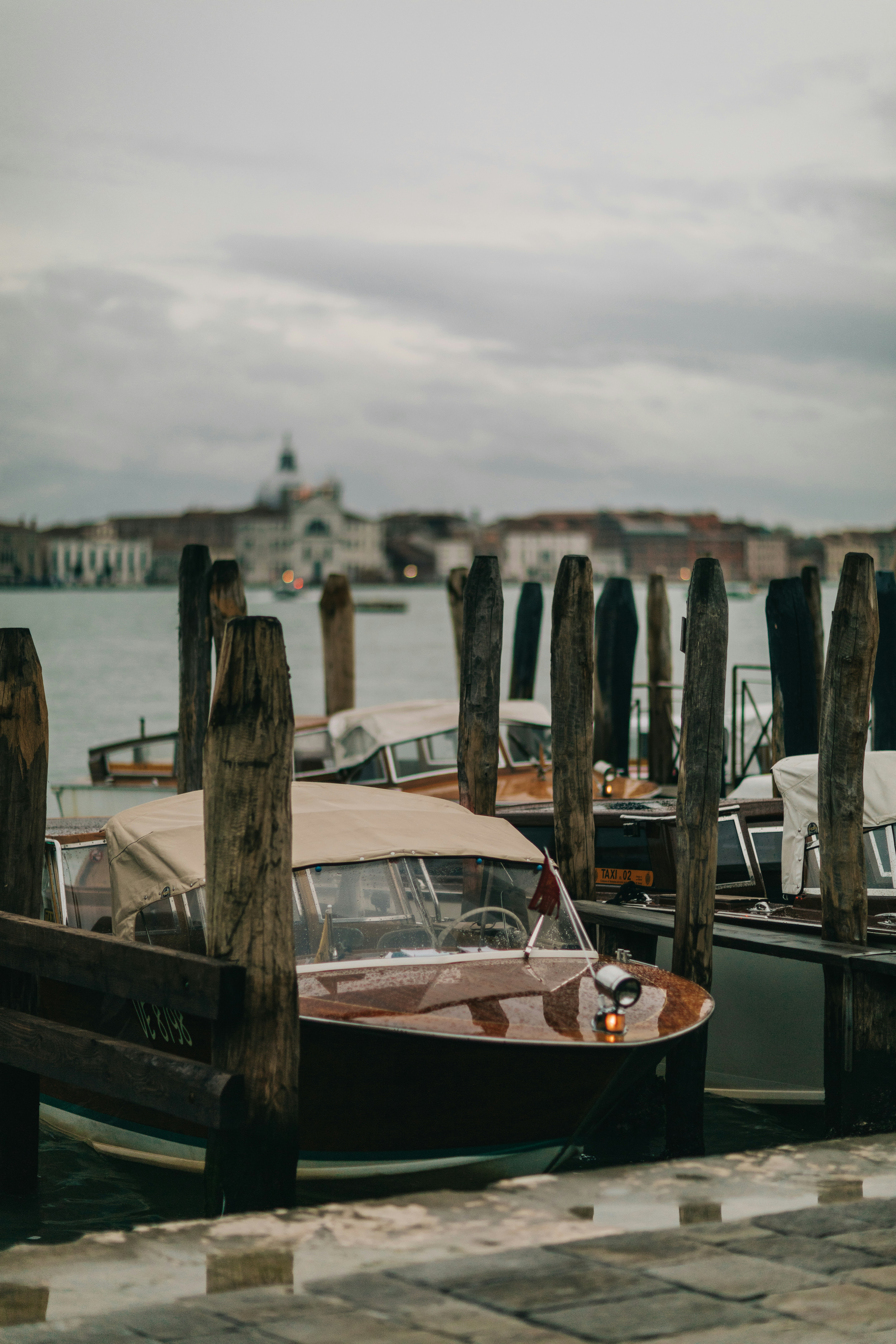 Photo by jorchalon