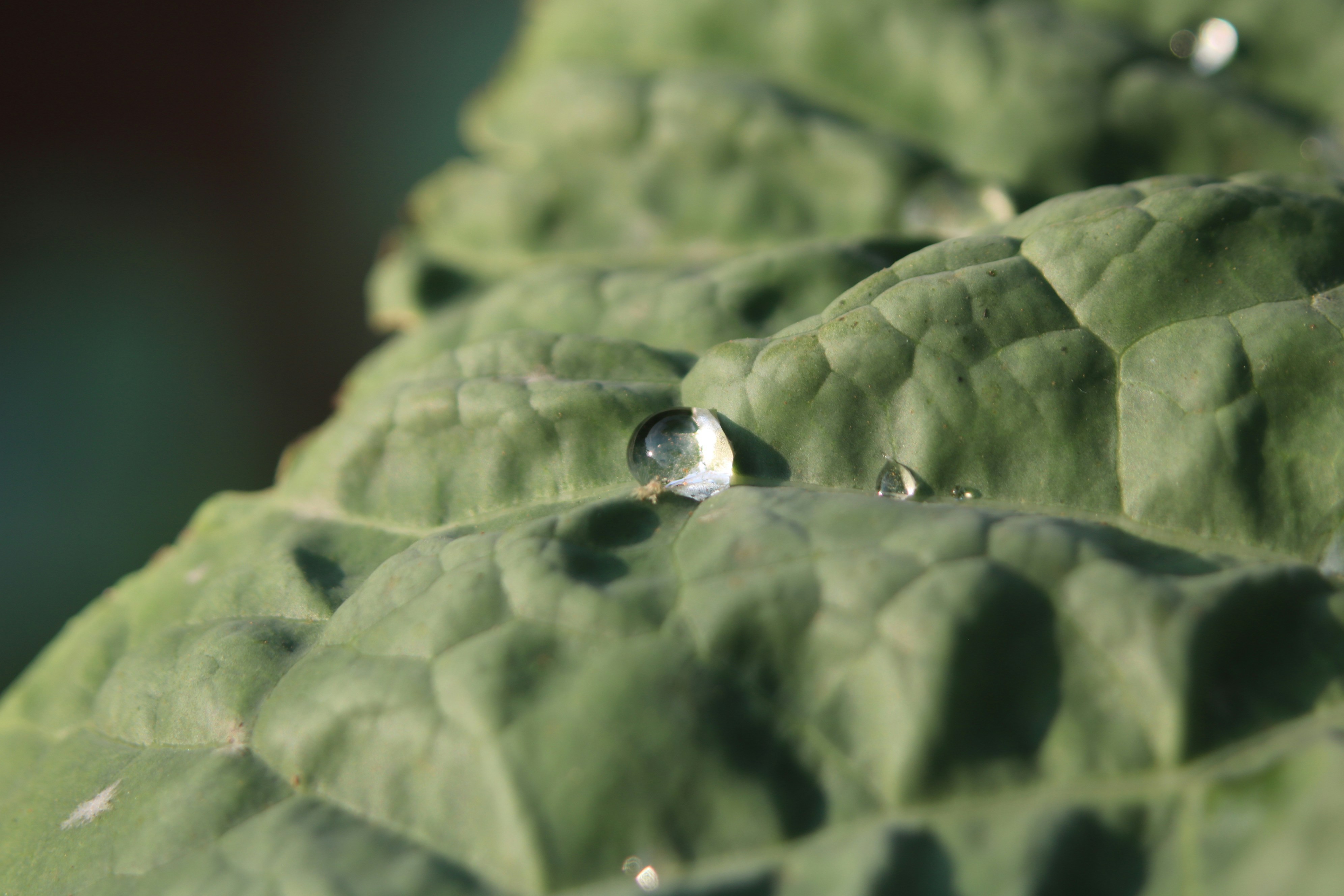 Photo by free_indeed_john8_36