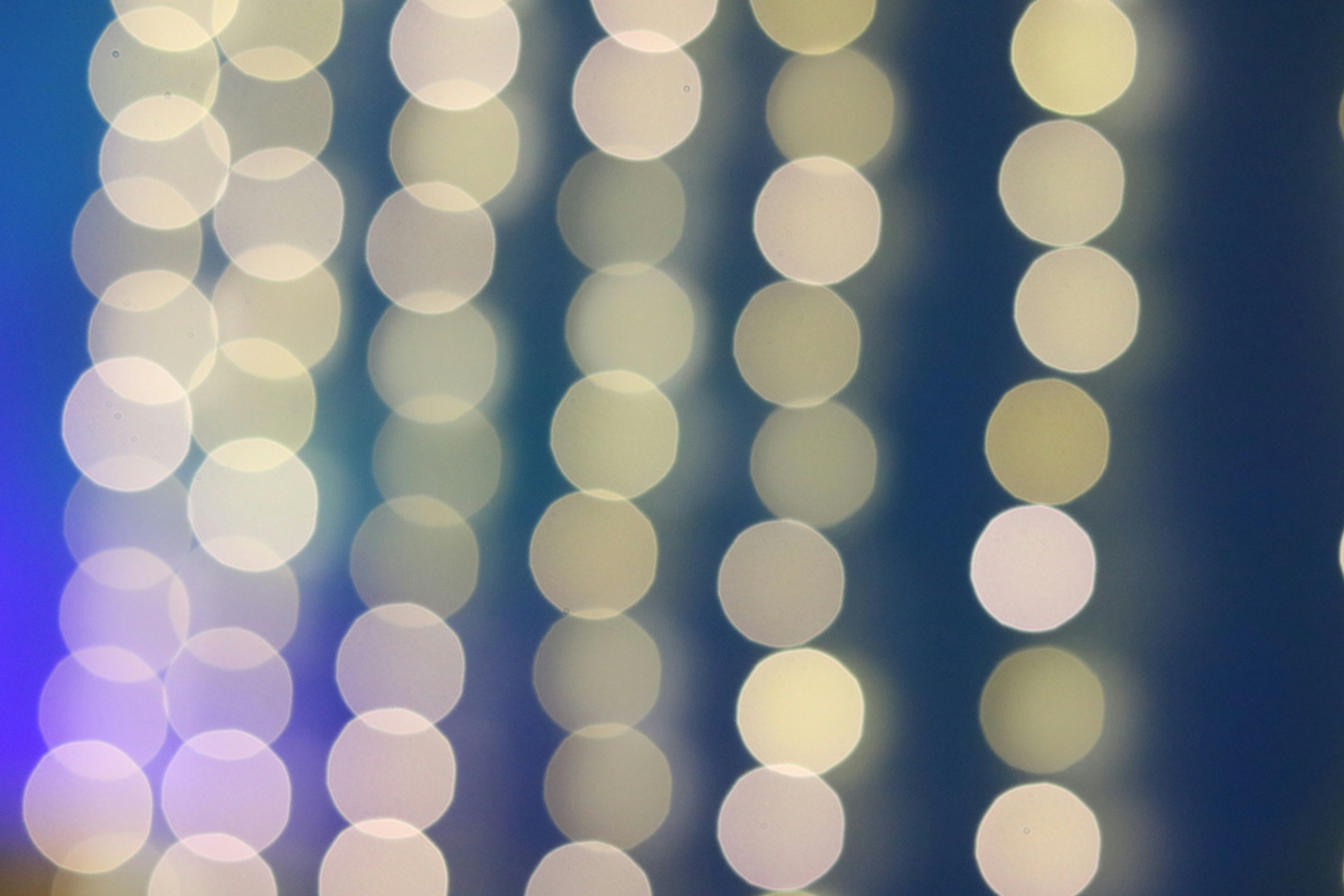 Photo by free_indeed_john8_36