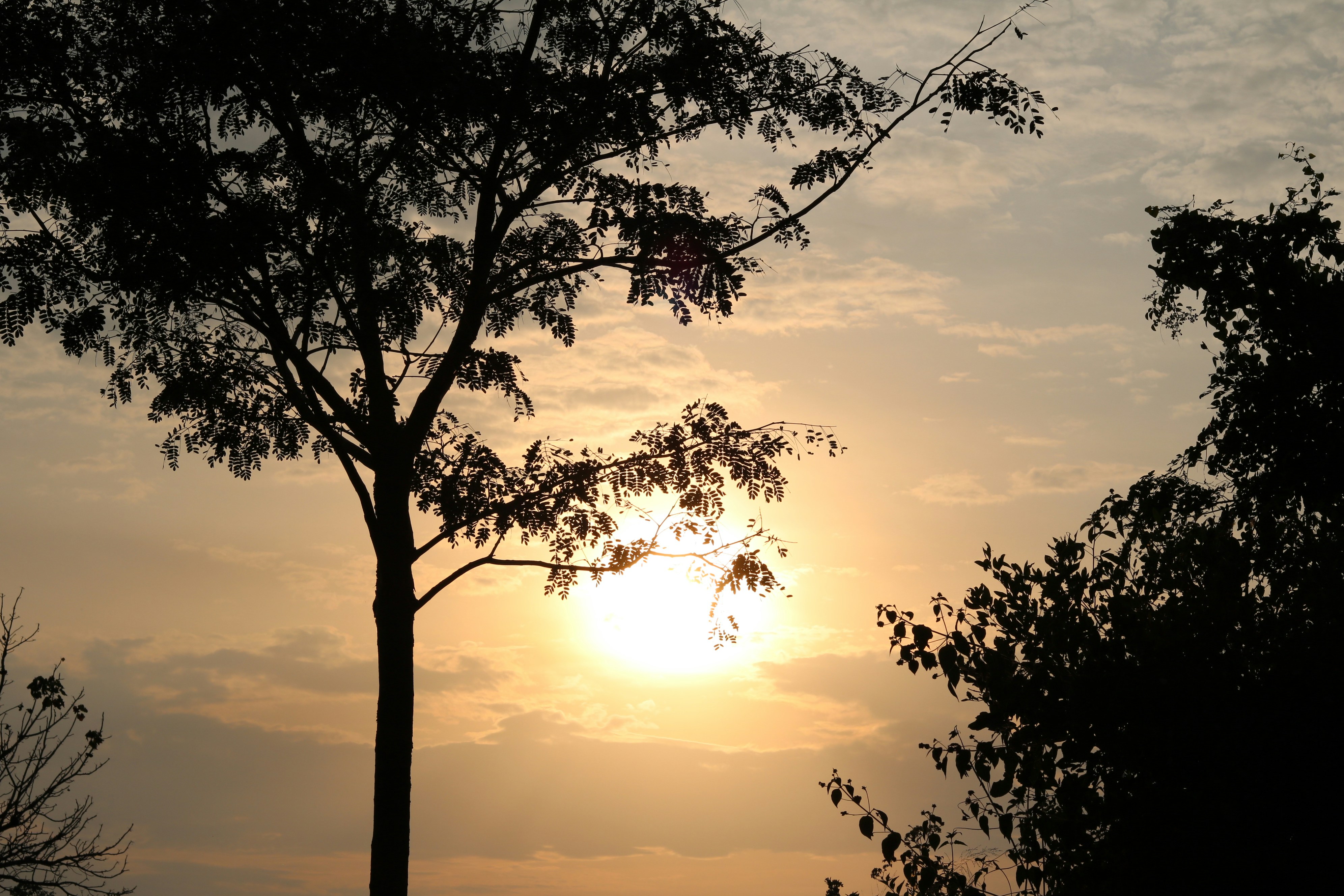 Photo by free_indeed_john8_36