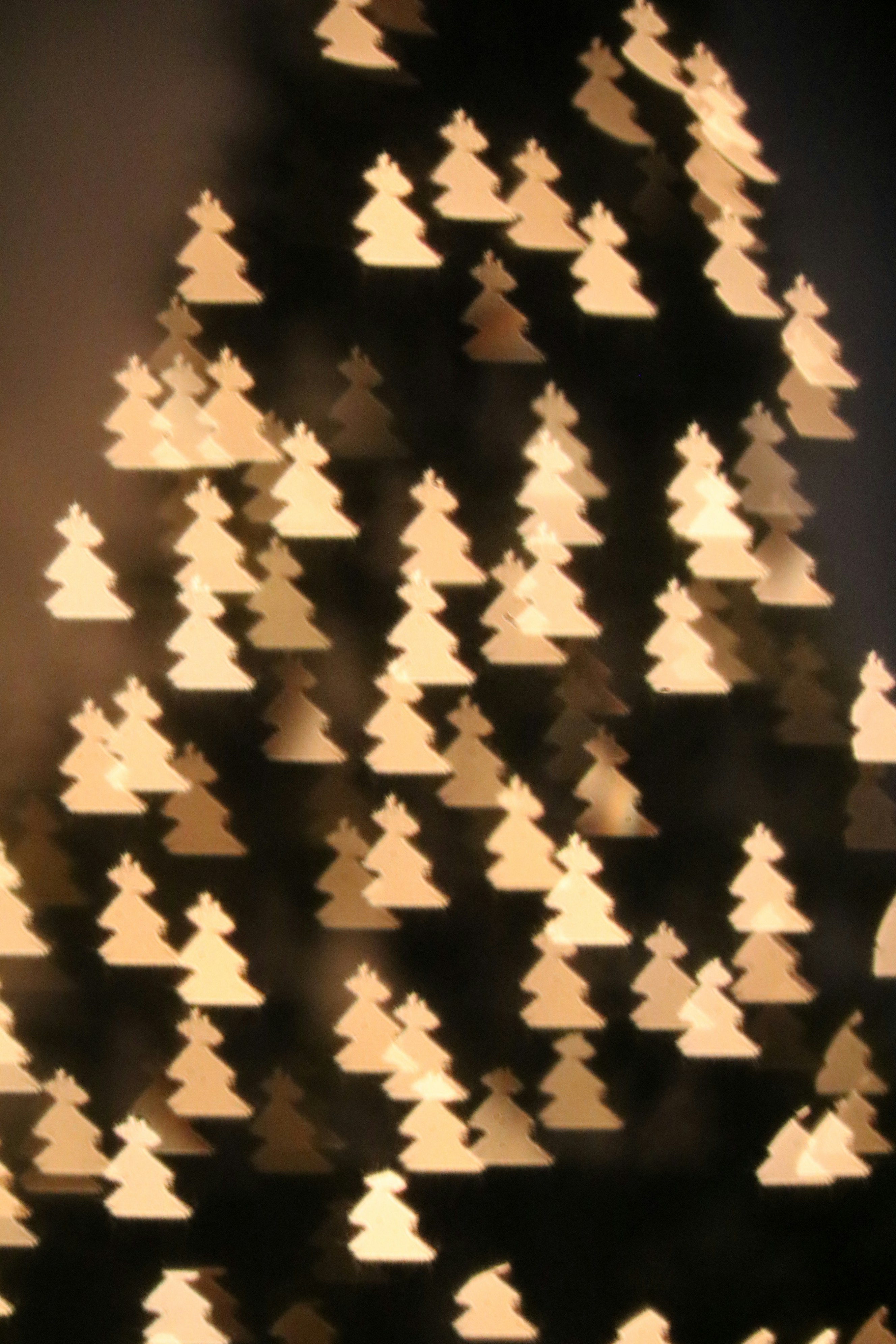 Photo by free_indeed_john8_36