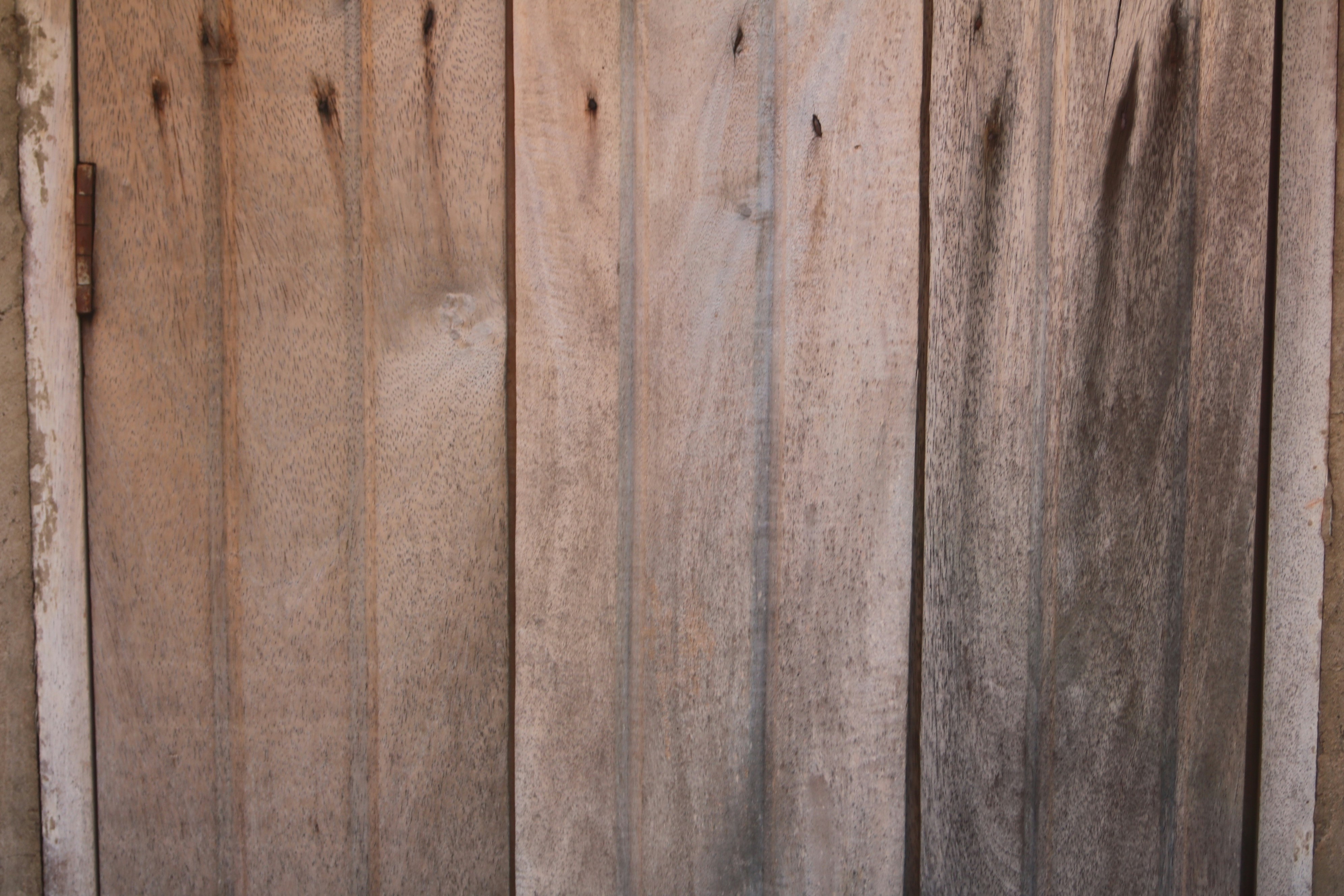 Photo by free_indeed_john8_36