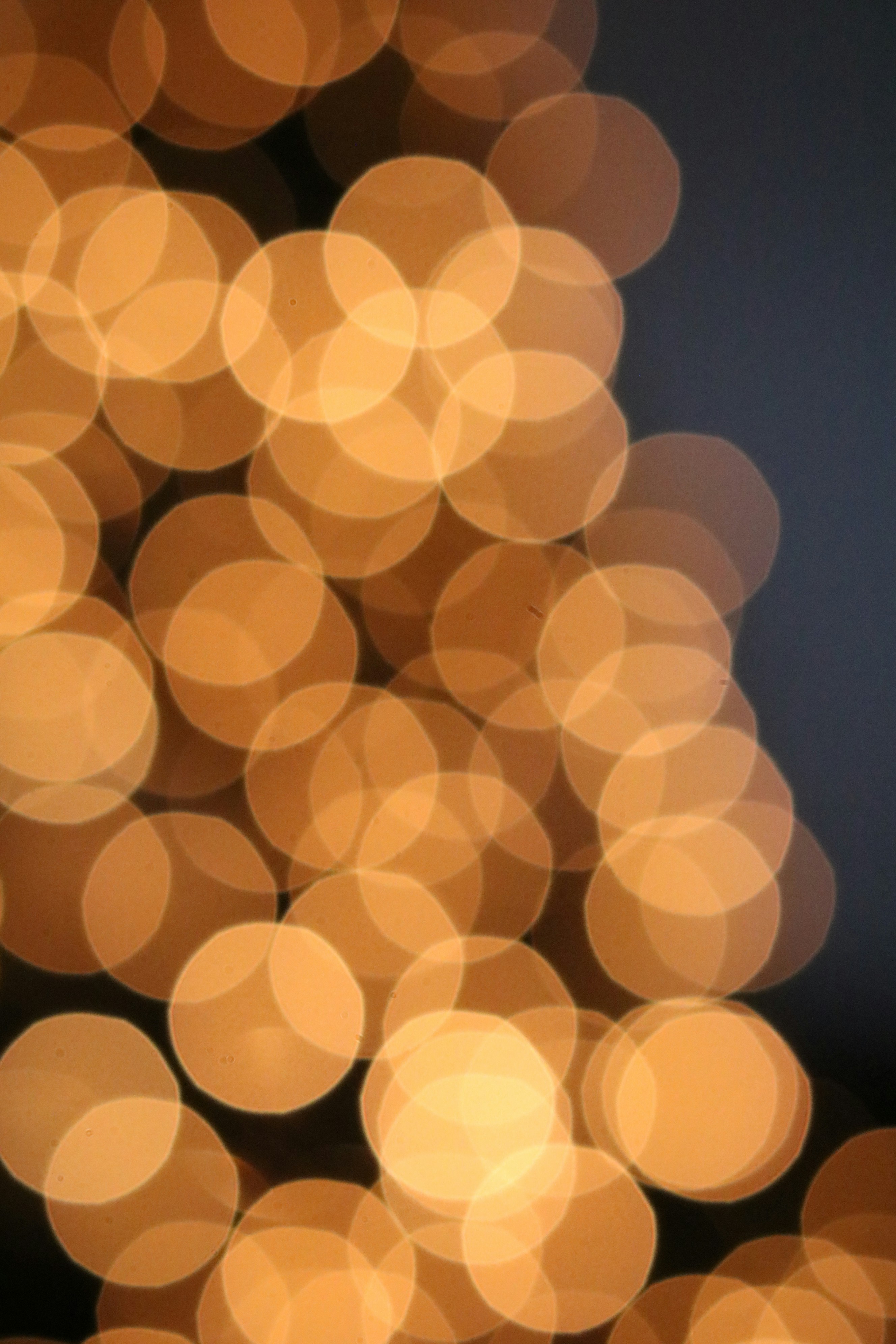 Photo by free_indeed_john8_36