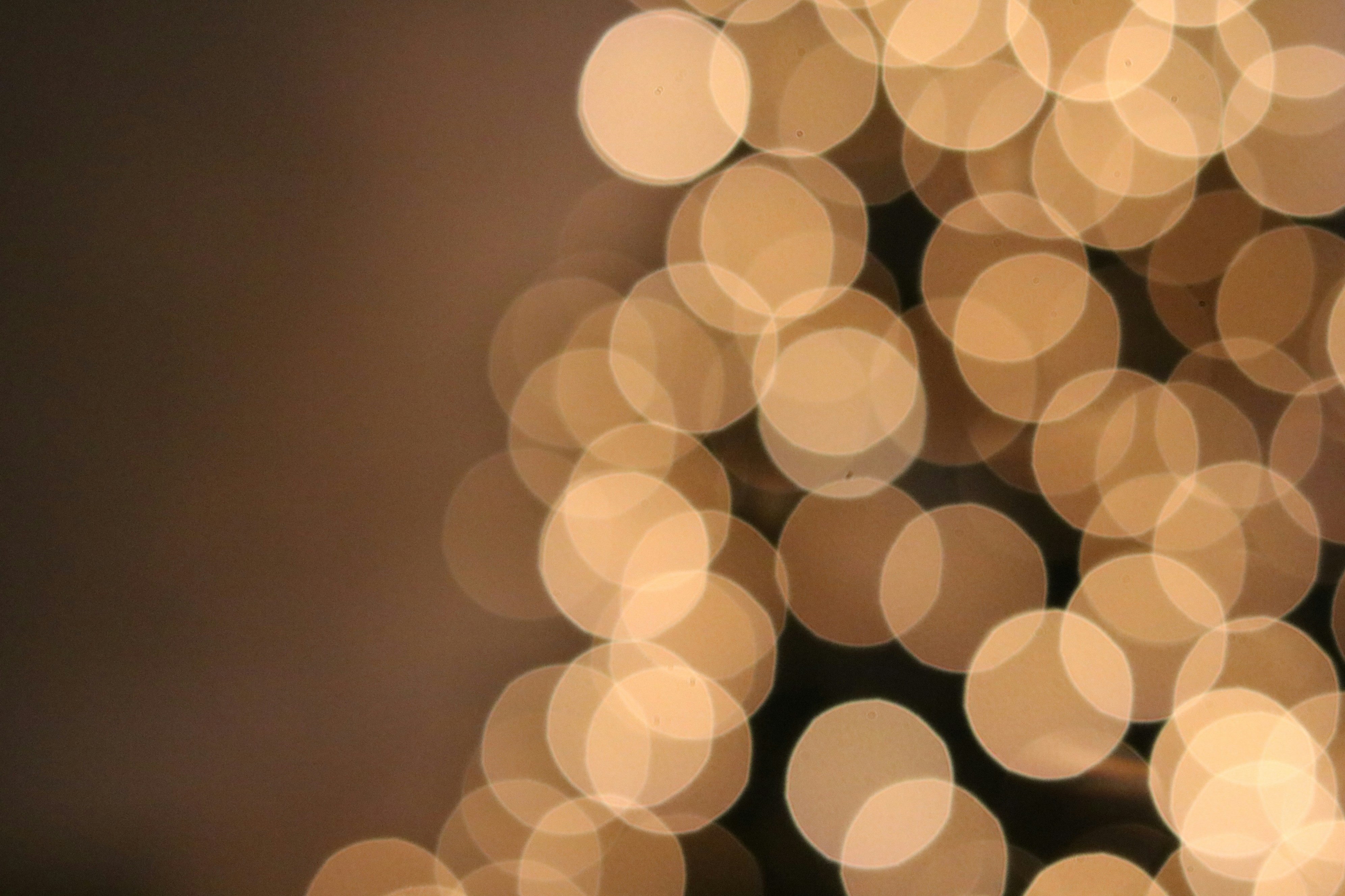 Photo by free_indeed_john8_36