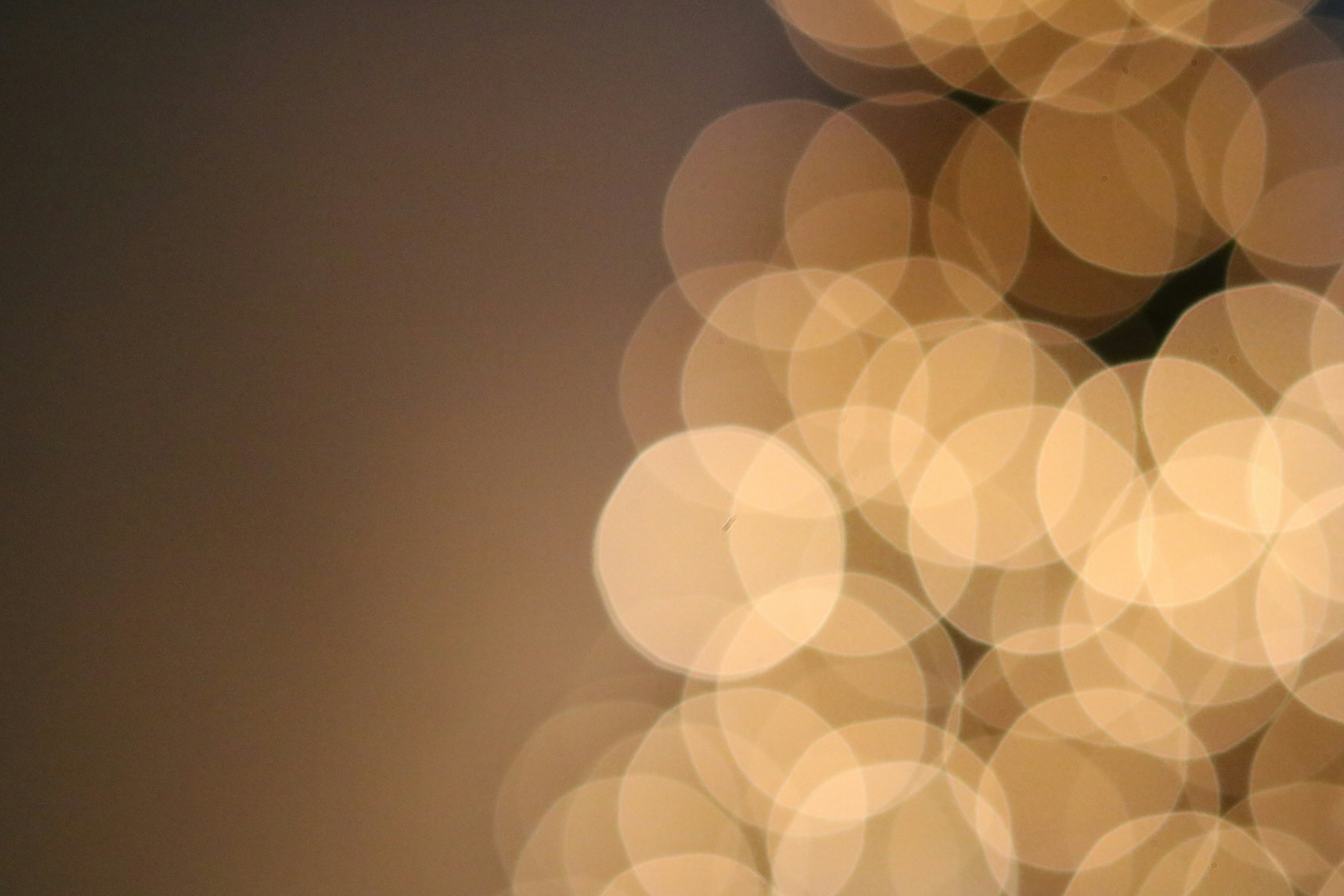 Photo by free_indeed_john8_36