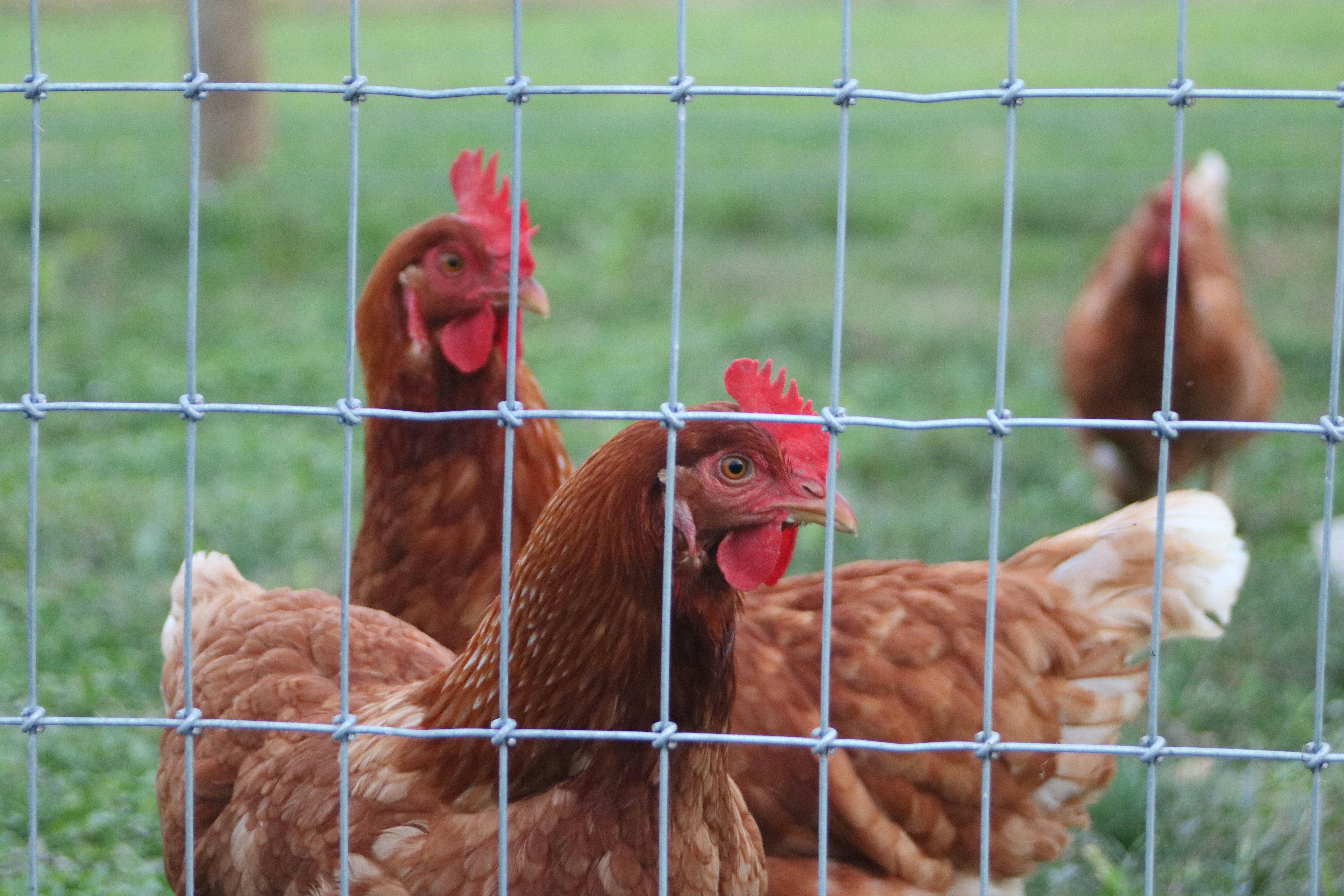 Photo by free_indeed_john8_36