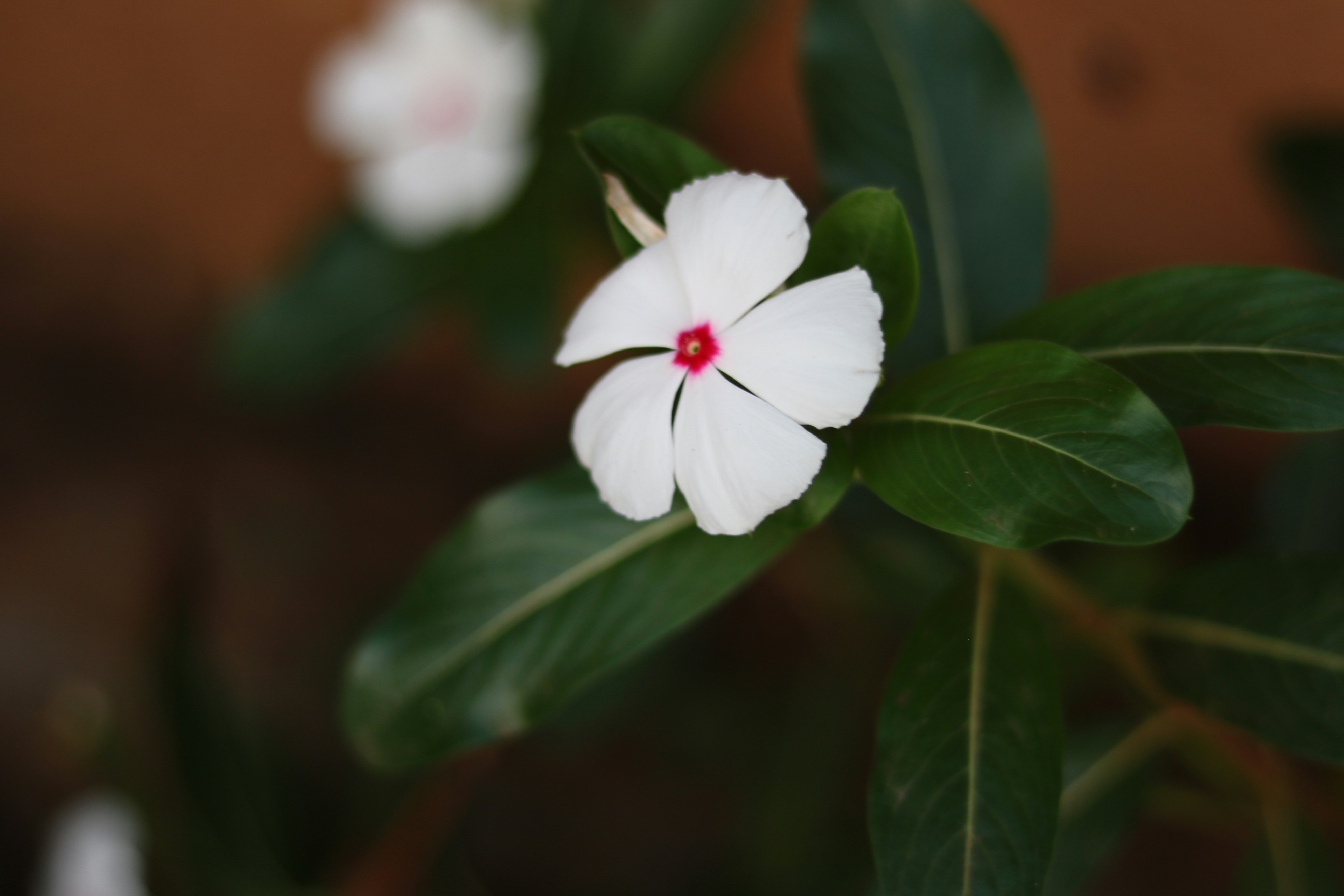 Photo by free_indeed_john8_36