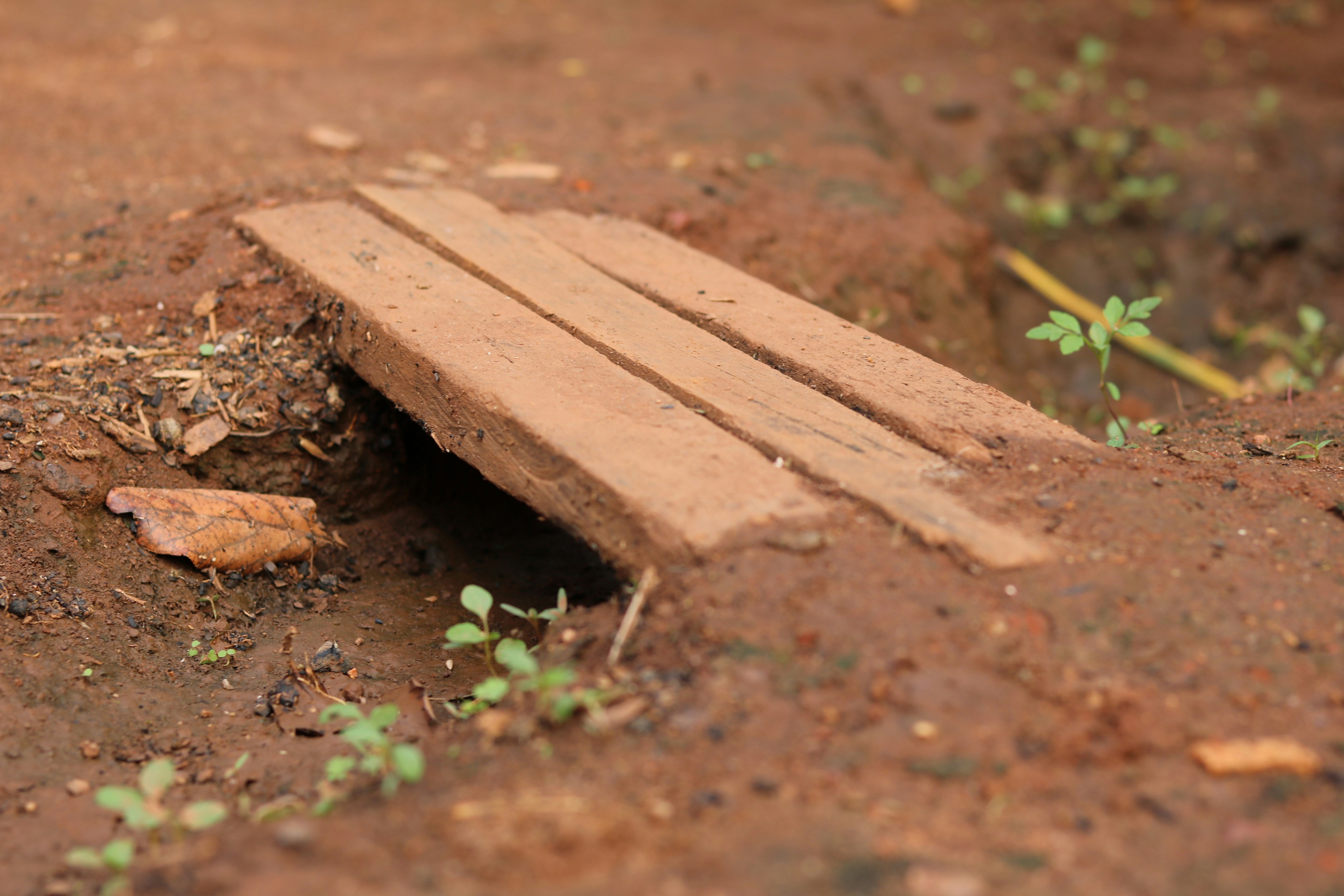 un banc en bois posé au sommet d’un champ de terre