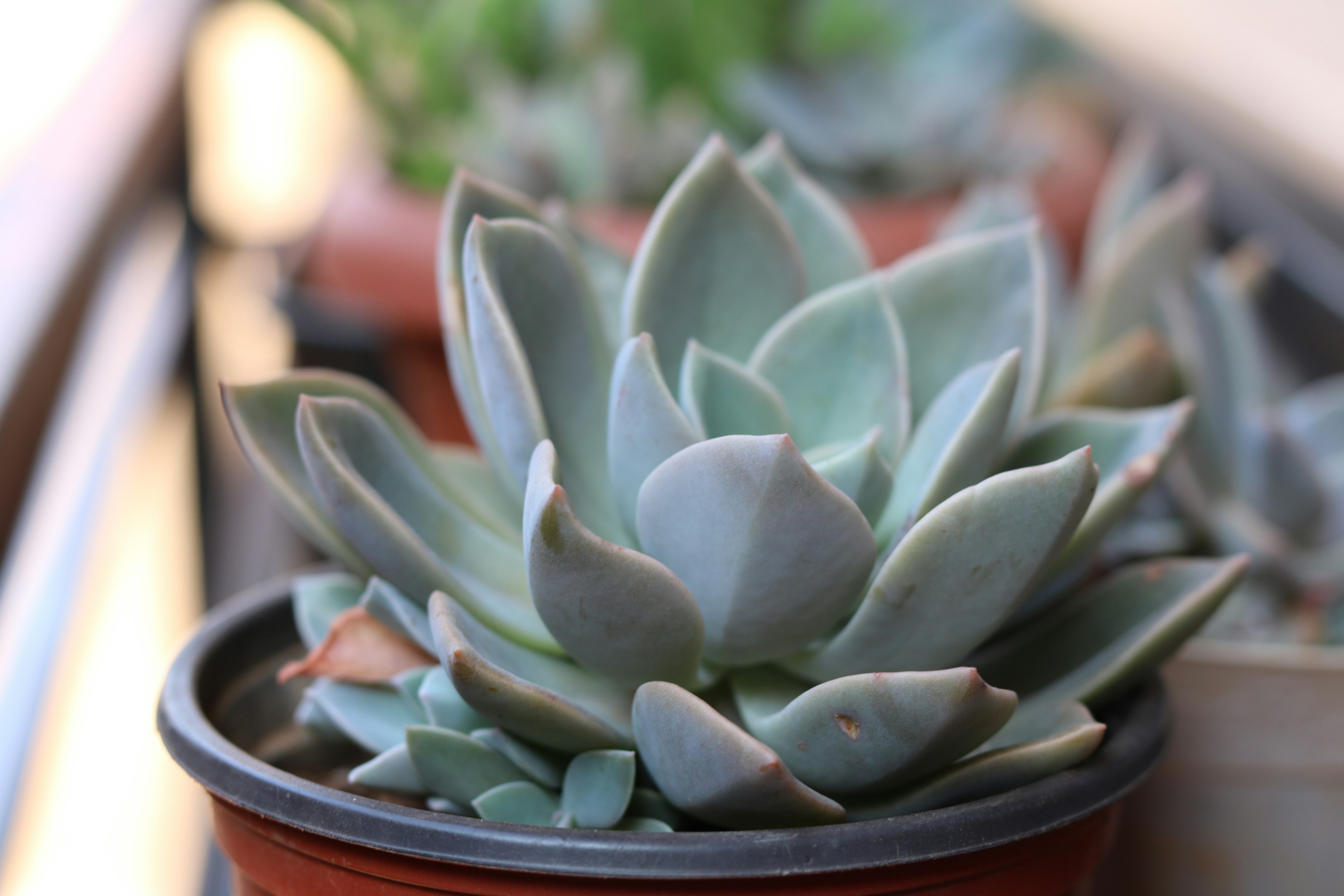 Photo by free_indeed_john8_36