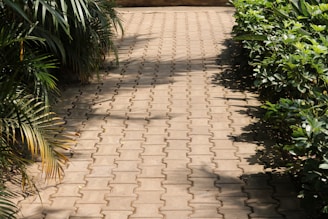 a bench sitting in the middle of a garden