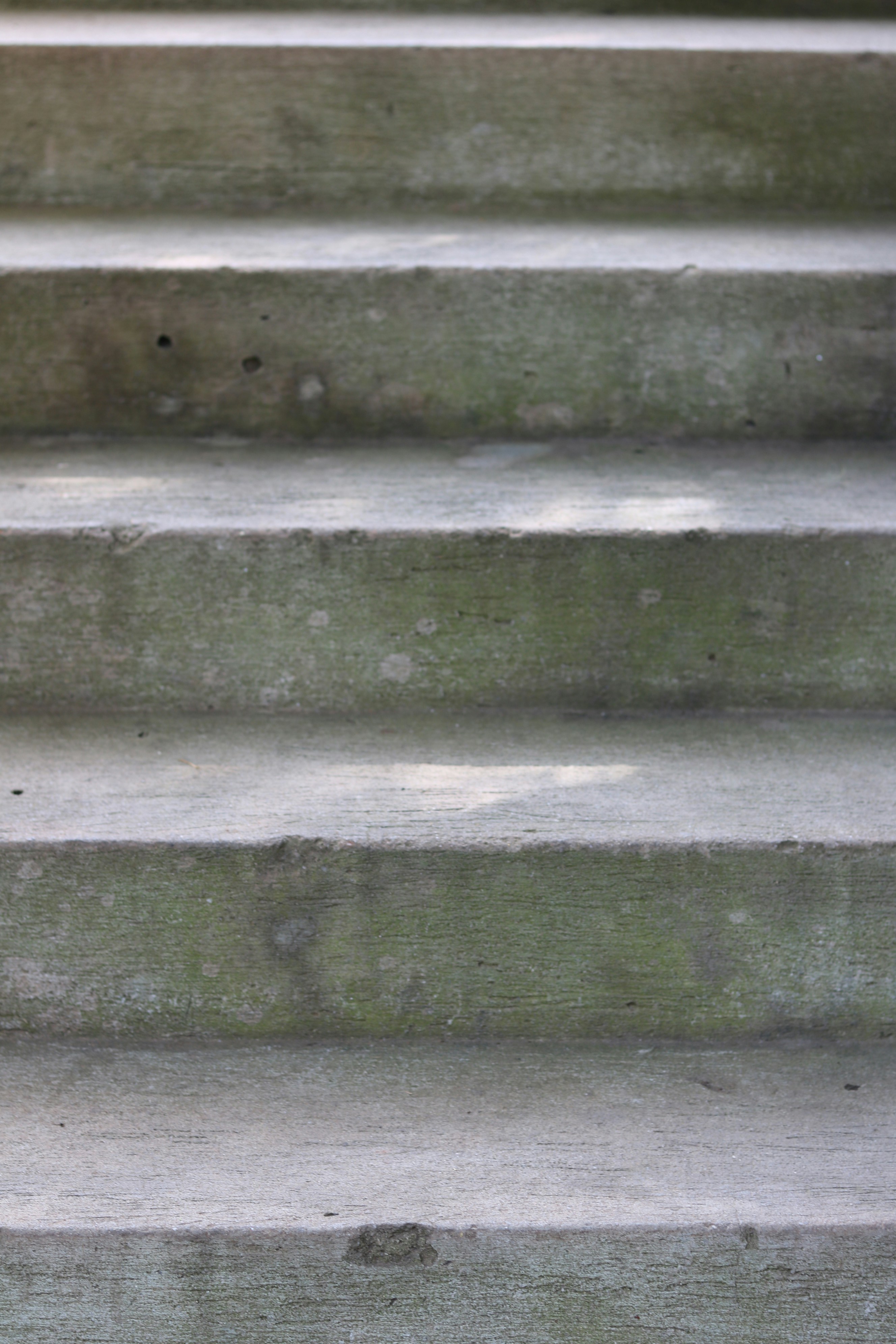 Photo by free_indeed_john8_36