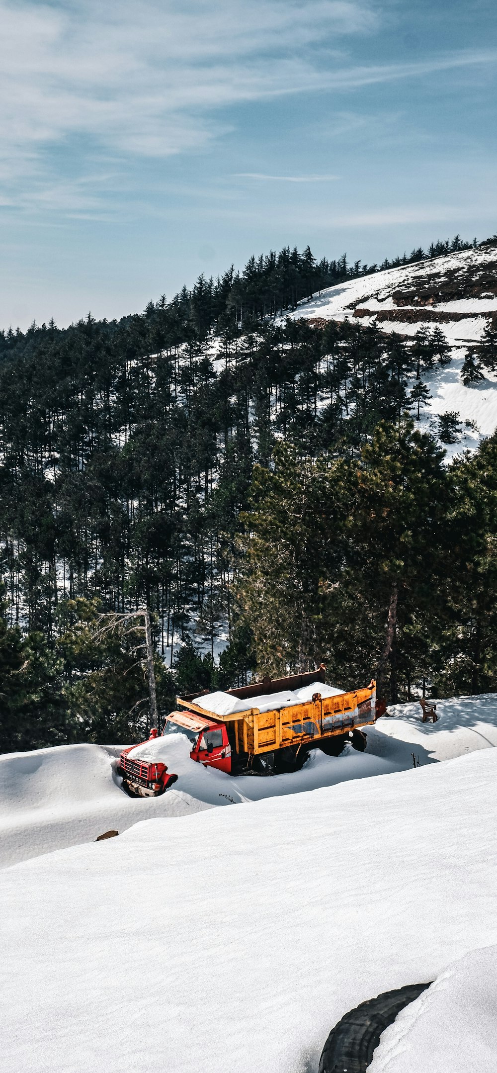 Un camion est stationné dans la neige près de quelques arbres