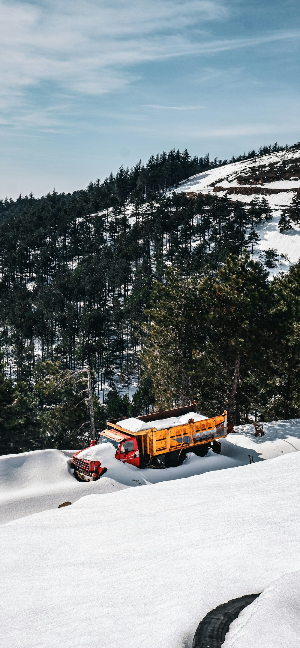 a truck is parked in the snow near some trees