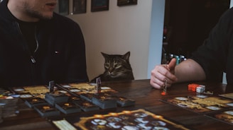 a man and a cat playing a board game