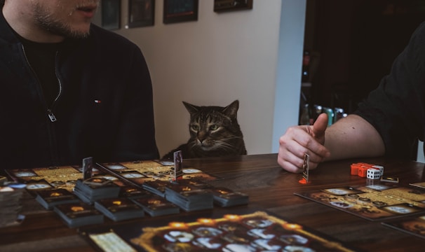 a man and a cat playing a board game