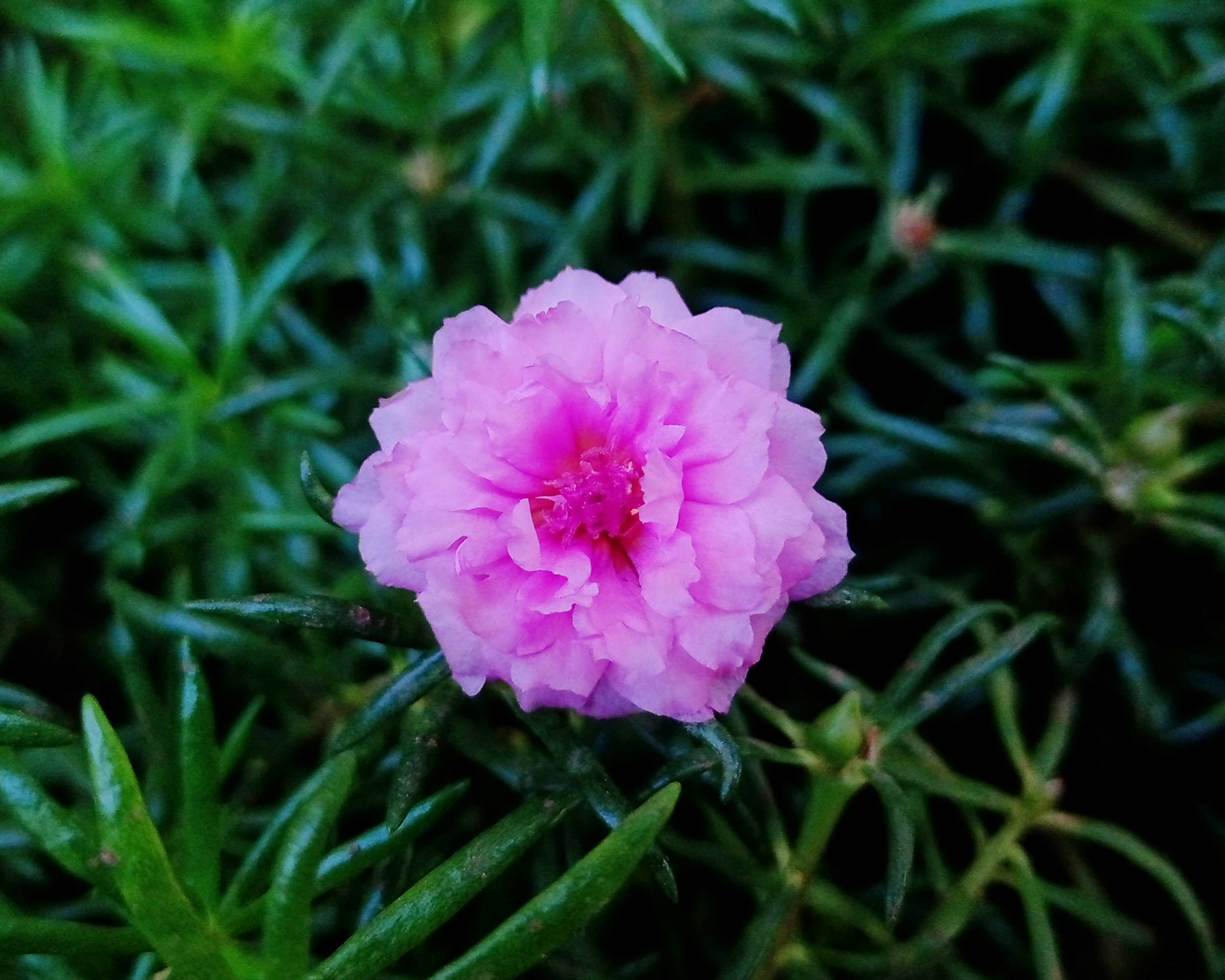 Photo by arkan_maker