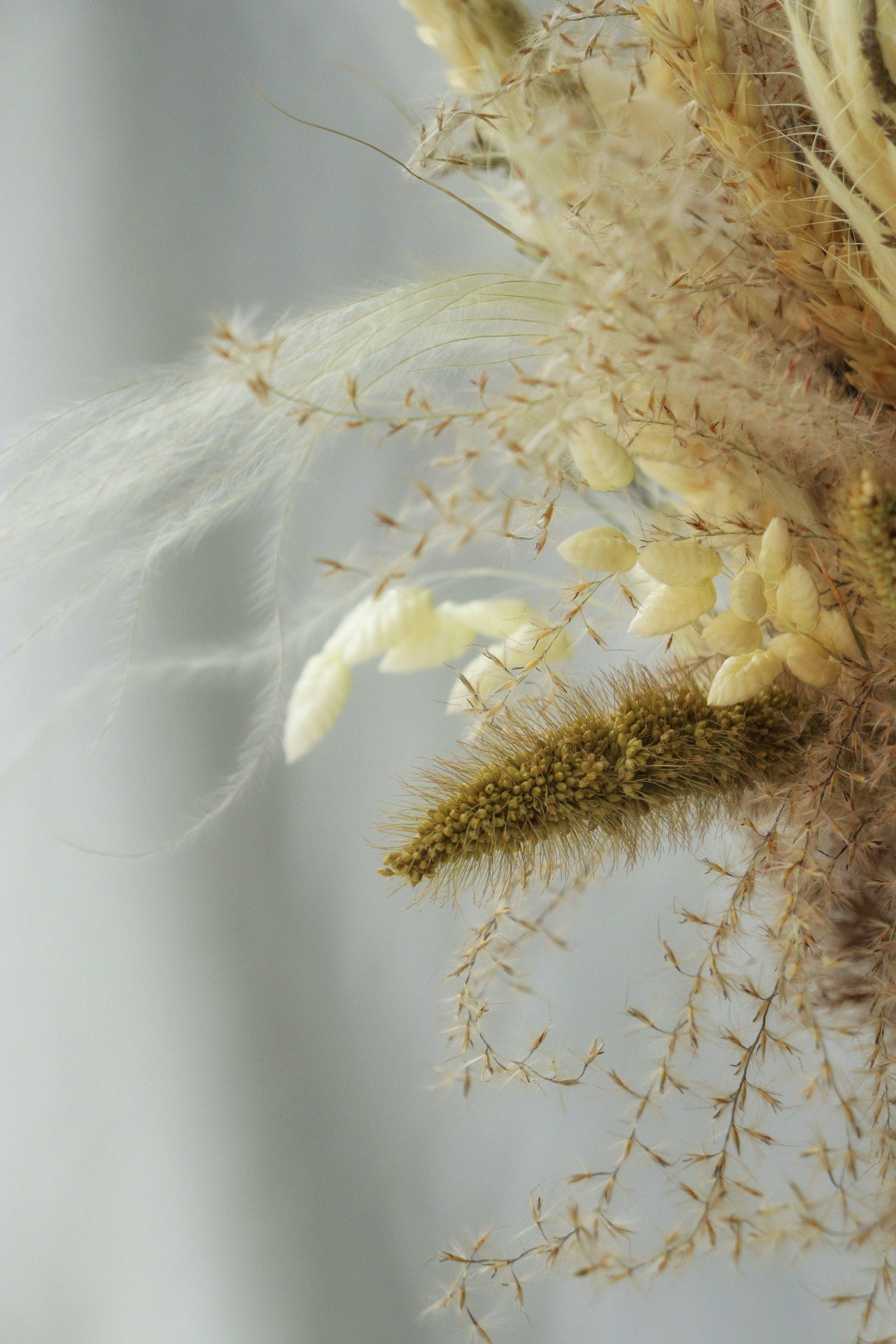 Photo by fridaflowers