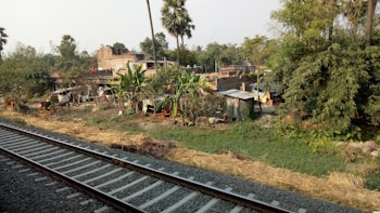 A rural scene featuring a cluster of simple dwellings surrounded by lush greenery and trees. Railway tracks run parallel to the settlement, suggesting connectivity and travel. The area is densely vegetated with banana plants and palm trees, and there's an assortment of makeshift structures.