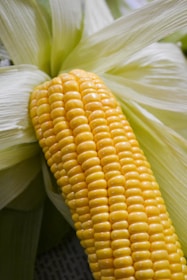 Natural ingredients with innovative processing