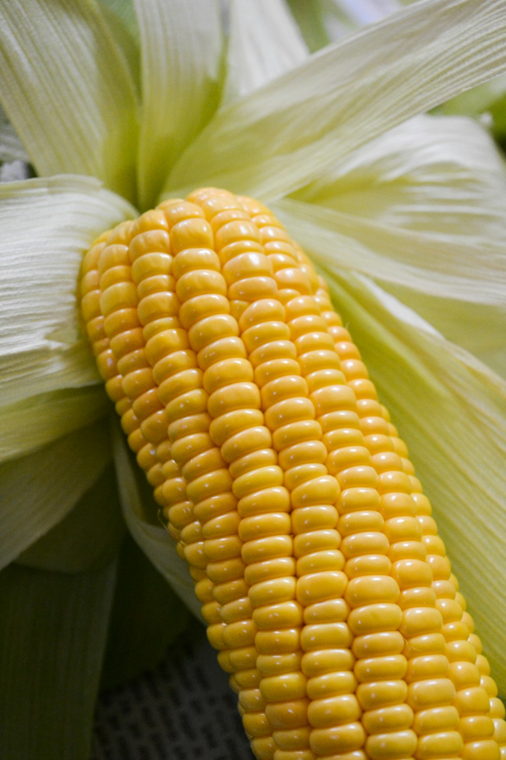 a close up of a corn on the cob