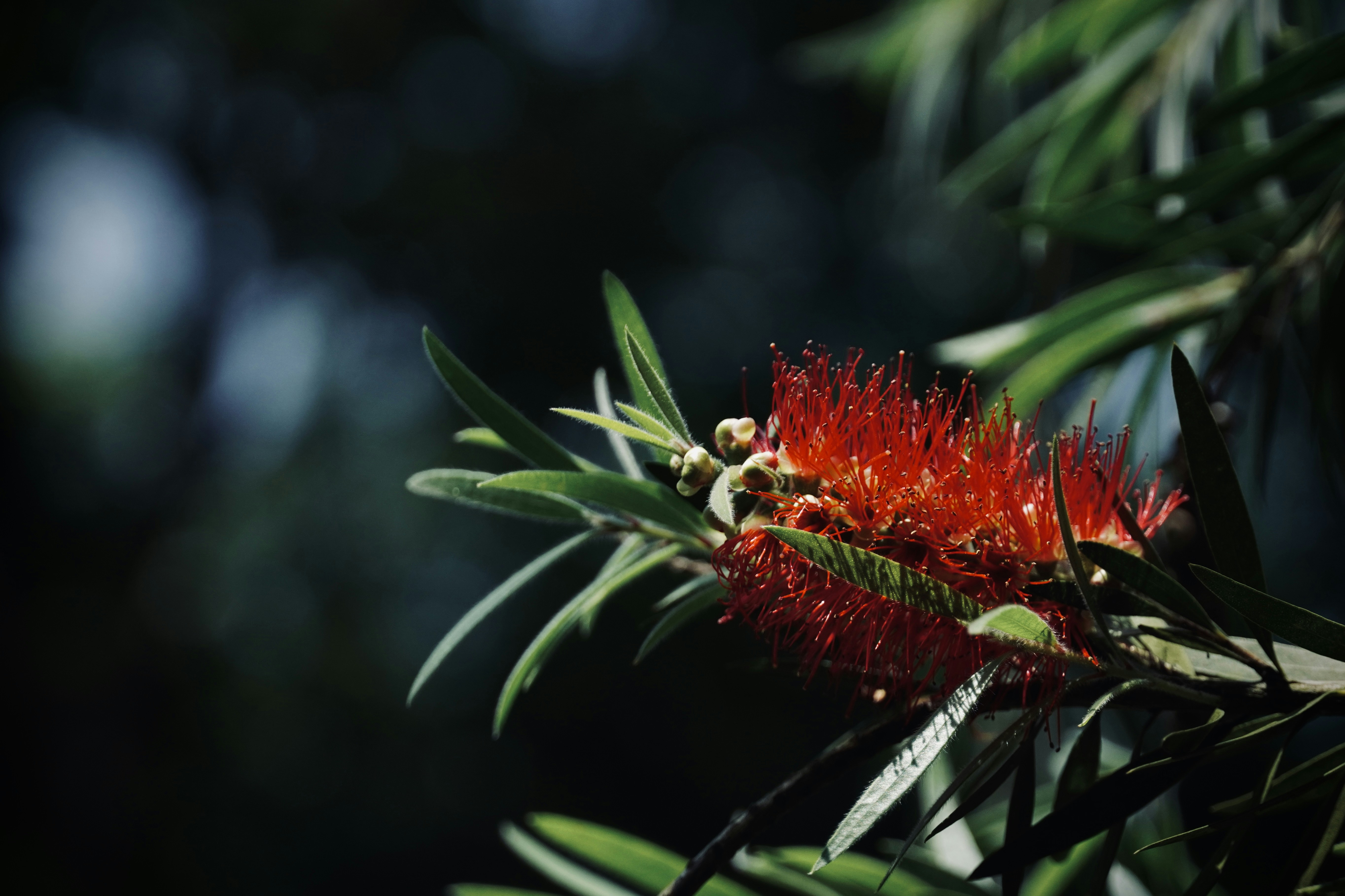 Photo by feng_chunfeng