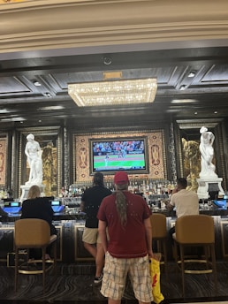 Several people are seated at a luxurious bar, with a large TV screen showing a sports game. The bar is elegantly decorated with ornate details and sculptures. The ceiling has a large, rectangular, crystal chandelier.