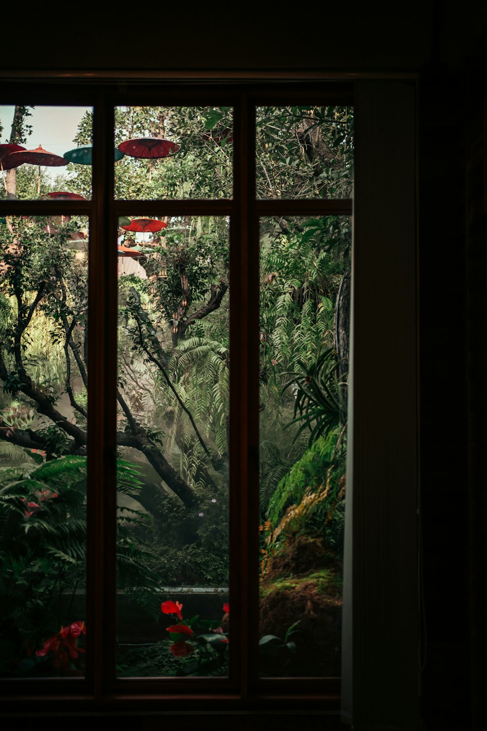 ein Fenster mit Blick auf einen üppigen grünen Wald