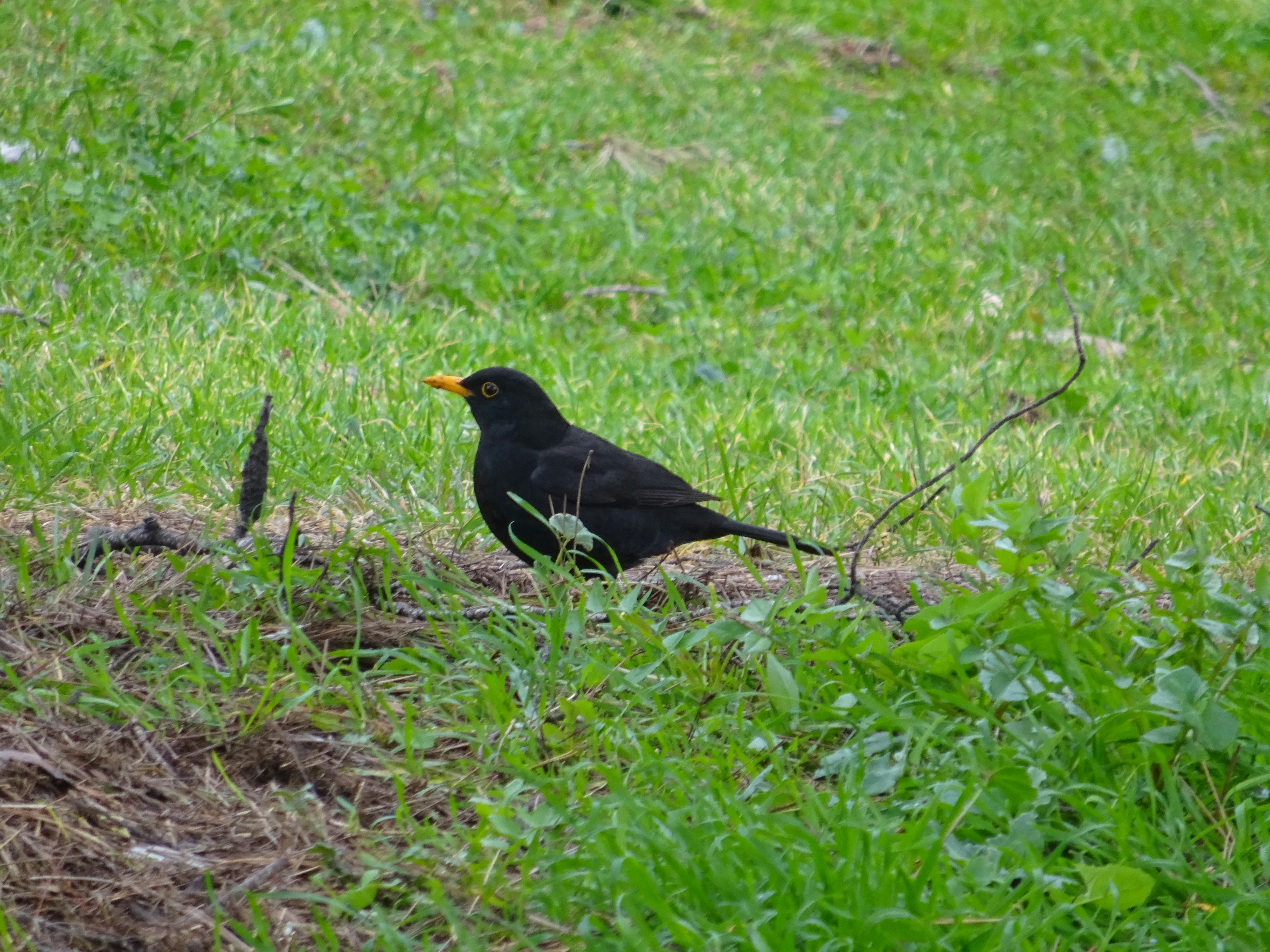 Photo by ludovico_06