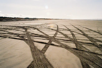 Close-up of an ATV tire leaving tracks on the soft sandy beach under clear blue skies.