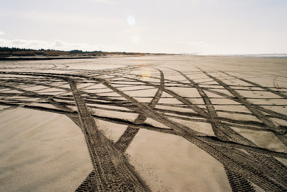 a sandy beach with tracks in the sand