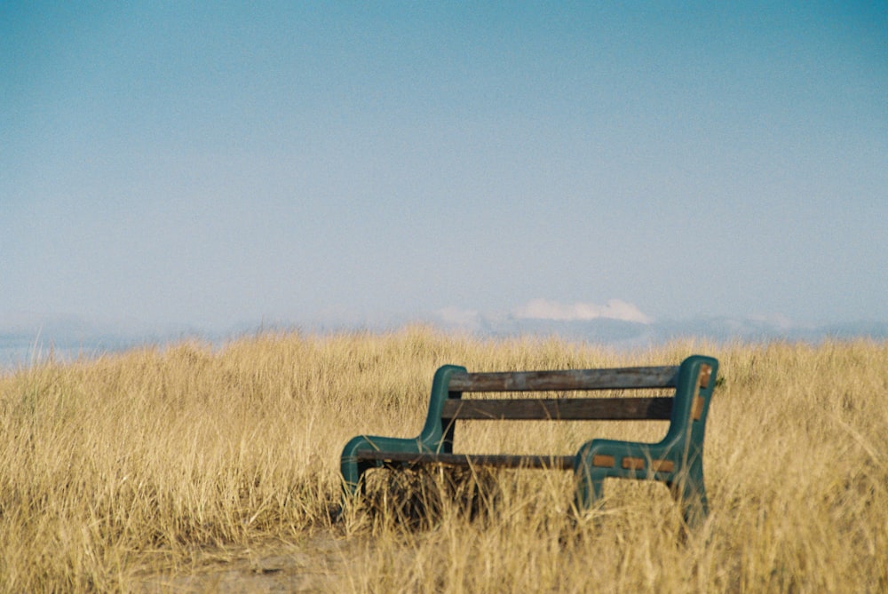 a bench sitting in a field of tall grass
