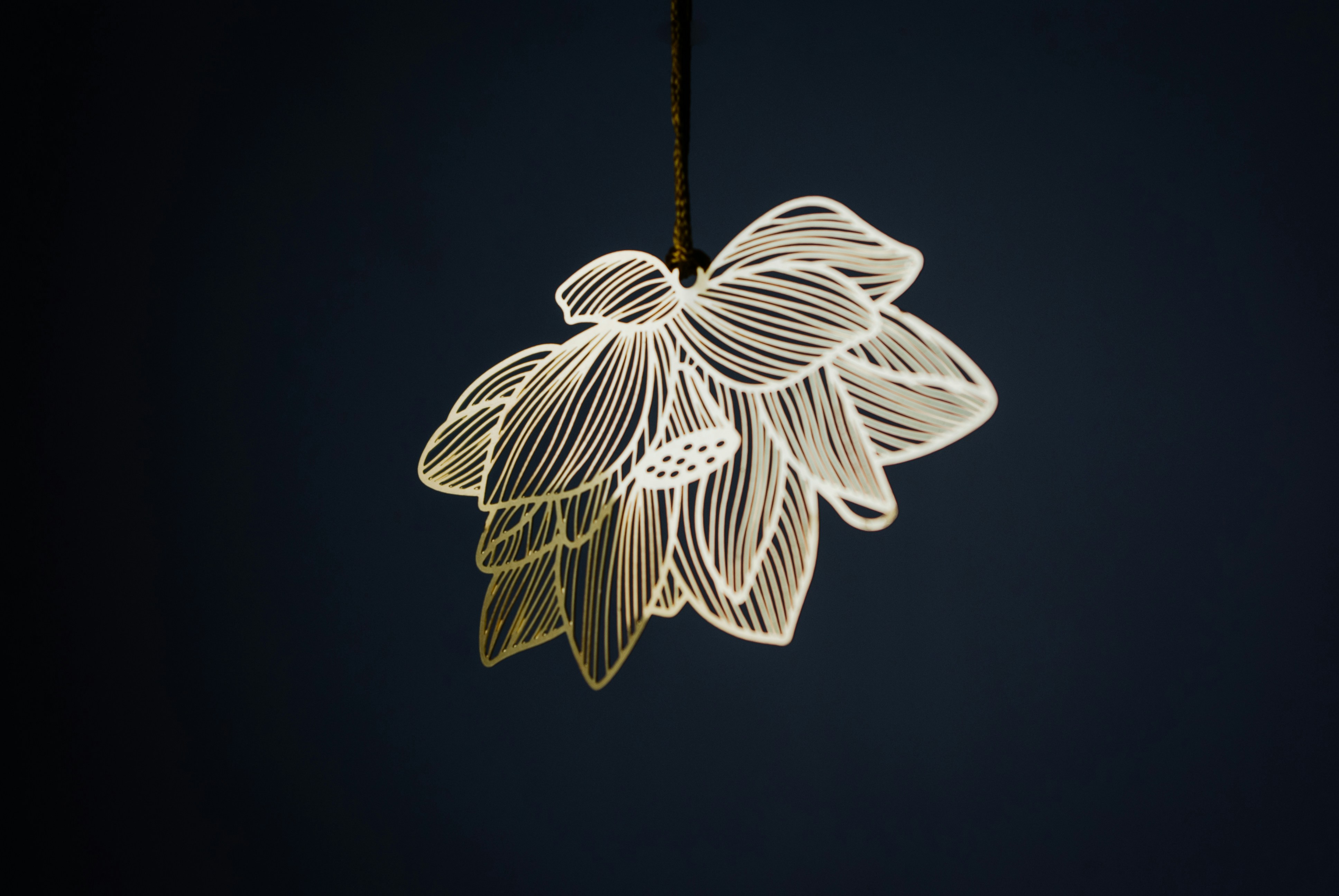 Photo by moonmoons_days