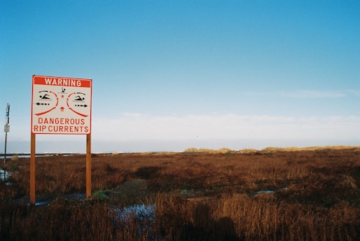 A warning sign stands in a natural, grassy area, cautioning about dangerous rip currents. The sign has a red border with the words 'Warning' in white and 'Dangerous Rip Currents' below. The background features clear blue skies and a horizon line where the water meets the land.
