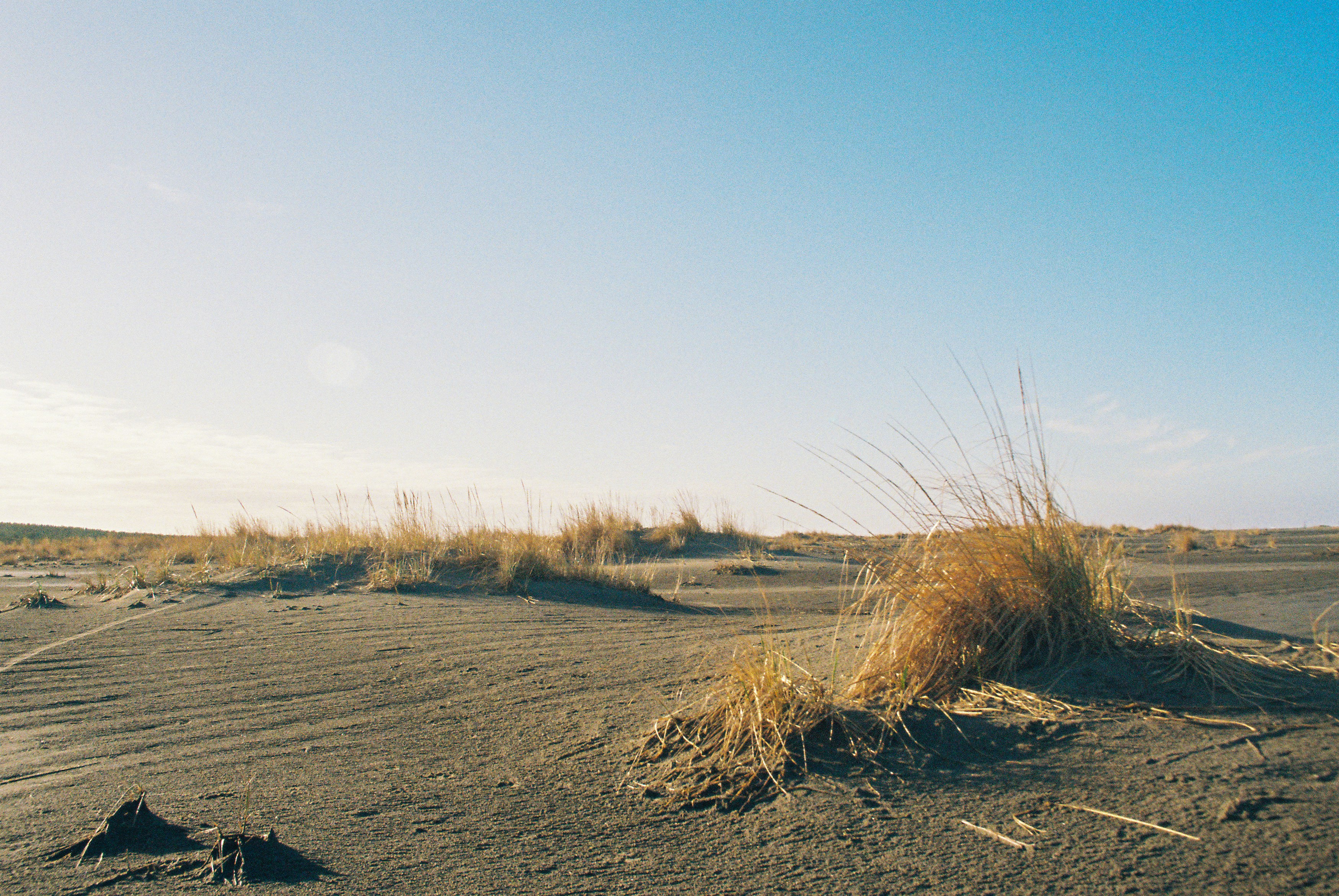 Photo by volantleander