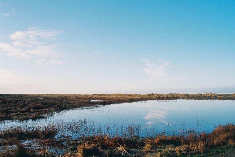 a large body of water sitting next to a lush green field