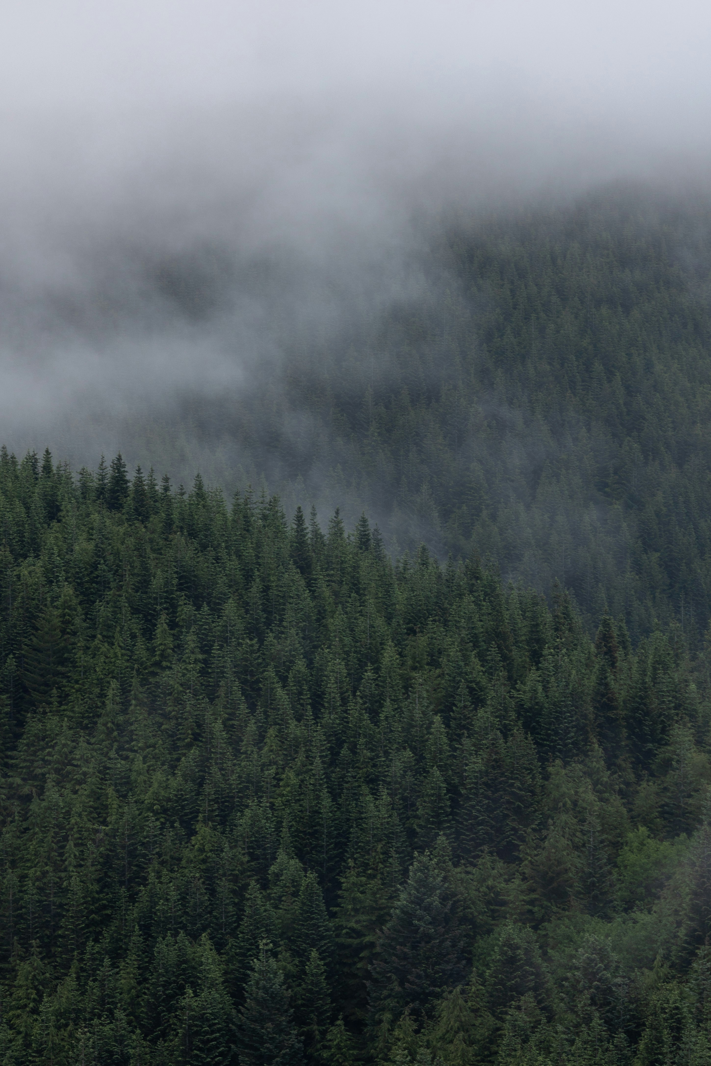 Photo by parkerwichelmann